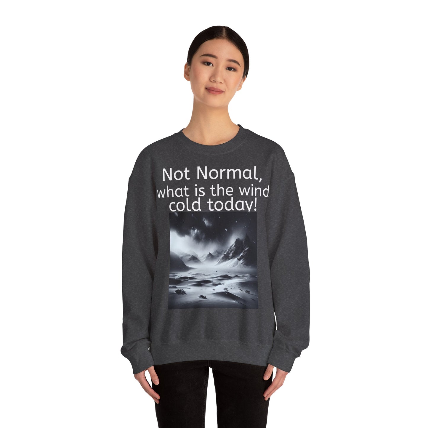 Grappige Unisex Katoenen/ Polyester Sweater Sweatshirt - Not Normal Wind Cold - Pun Funny Dutch Shirt Language Gift Idea Spreekwoord Funny