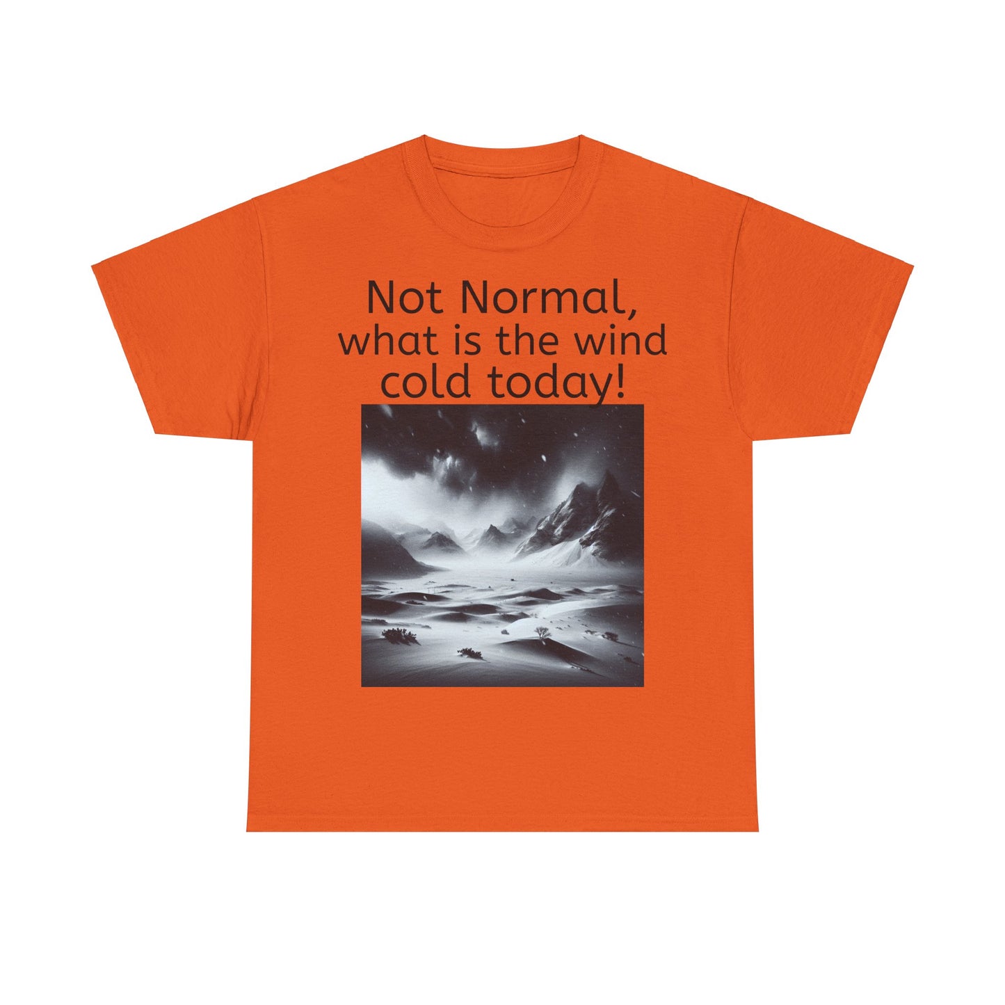 Grappige Unisex Katoenen T-Shirt - What is the wind cold today! - Pun Funny Dutch Shirt Language Gift Idea
