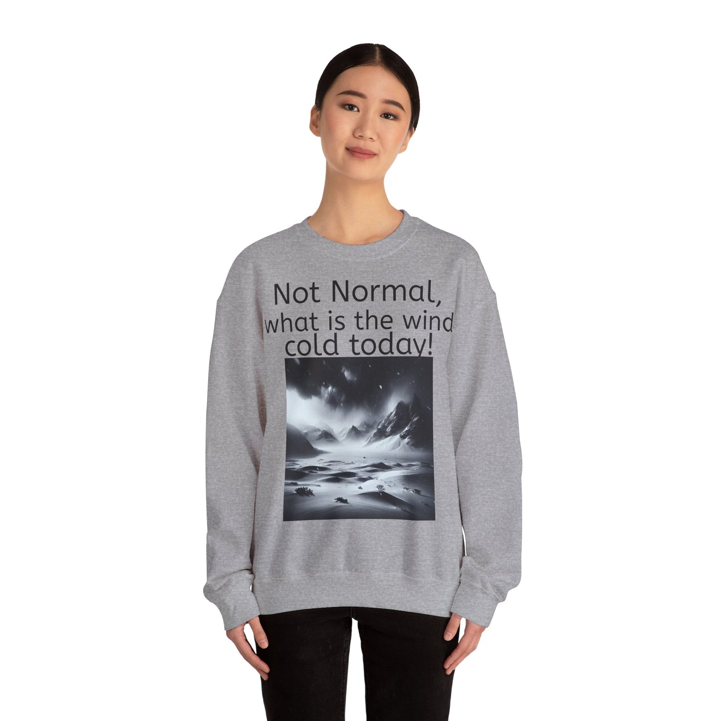 Grappige Unisex Katoenen/ Polyester Sweater Sweatshirt - Not Normal Wind Cold - Pun Funny Dutch Shirt Language Gift Idea Spreekwoord Funny