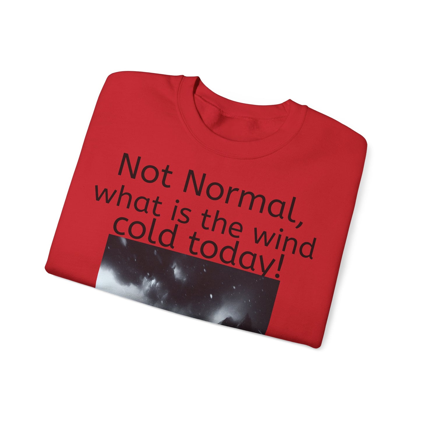 Grappige Unisex Katoenen/ Polyester Sweater Sweatshirt - Not Normal Wind Cold - Pun Funny Dutch Shirt Language Gift Idea Spreekwoord Funny