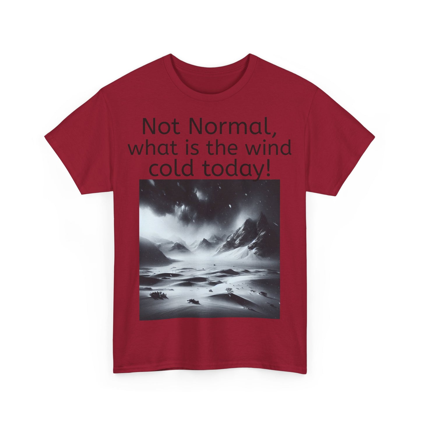 Grappige Unisex Katoenen T-Shirt - What is the wind cold today! - Pun Funny Dutch Shirt Language Gift Idea