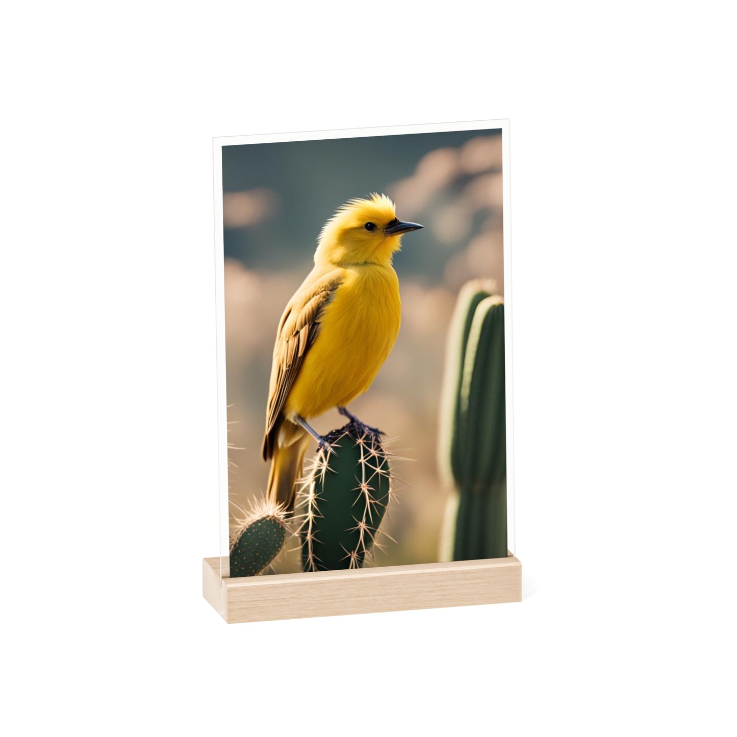 Acrylic Sign, Natural Bird Cacti Design, Home Office Decor Trend, Beautiful Country Style, Gift, Desk, Bureau Cadeu Idee Vogel Cactus