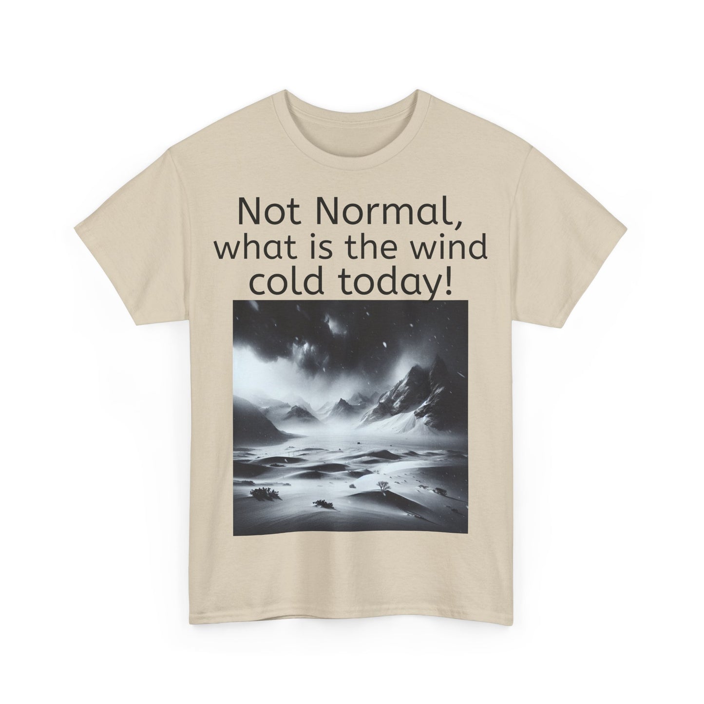 Grappige Unisex Katoenen T-Shirt - What is the wind cold today! - Pun Funny Dutch Shirt Language Gift Idea