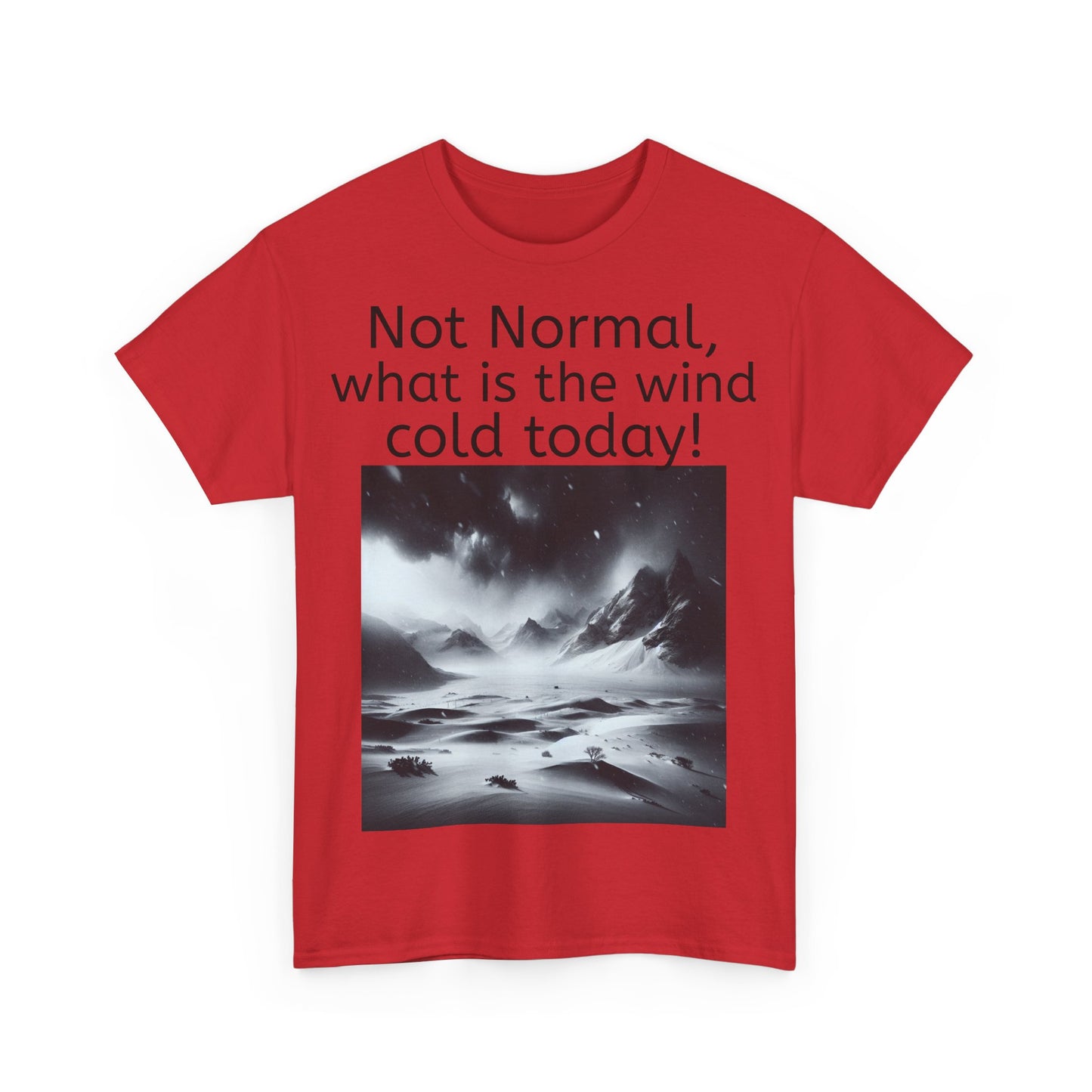 Grappige Unisex Katoenen T-Shirt - What is the wind cold today! - Pun Funny Dutch Shirt Language Gift Idea
