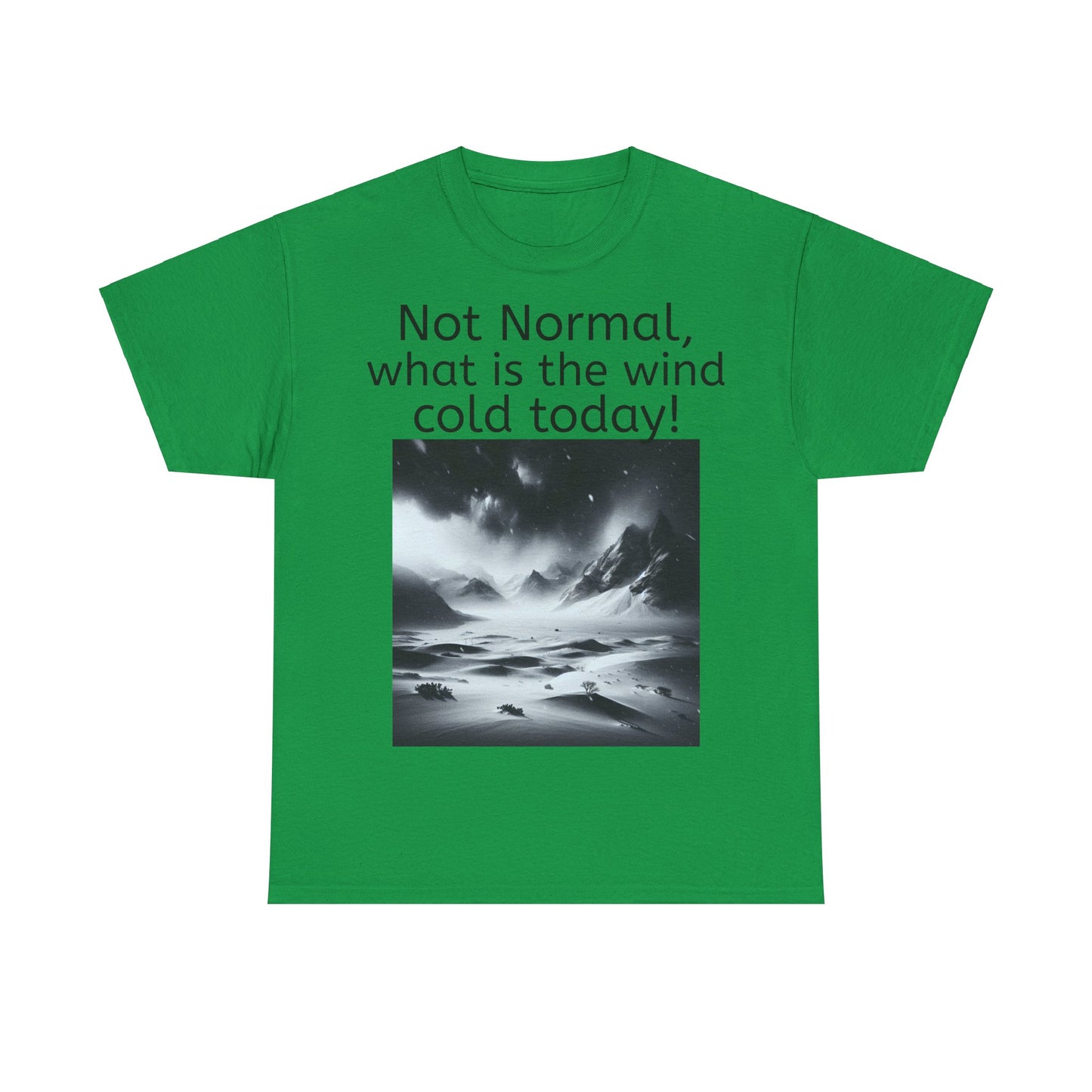 Grappige Unisex Katoenen T-Shirt - What is the wind cold today! - Pun Funny Dutch Shirt Language Gift Idea