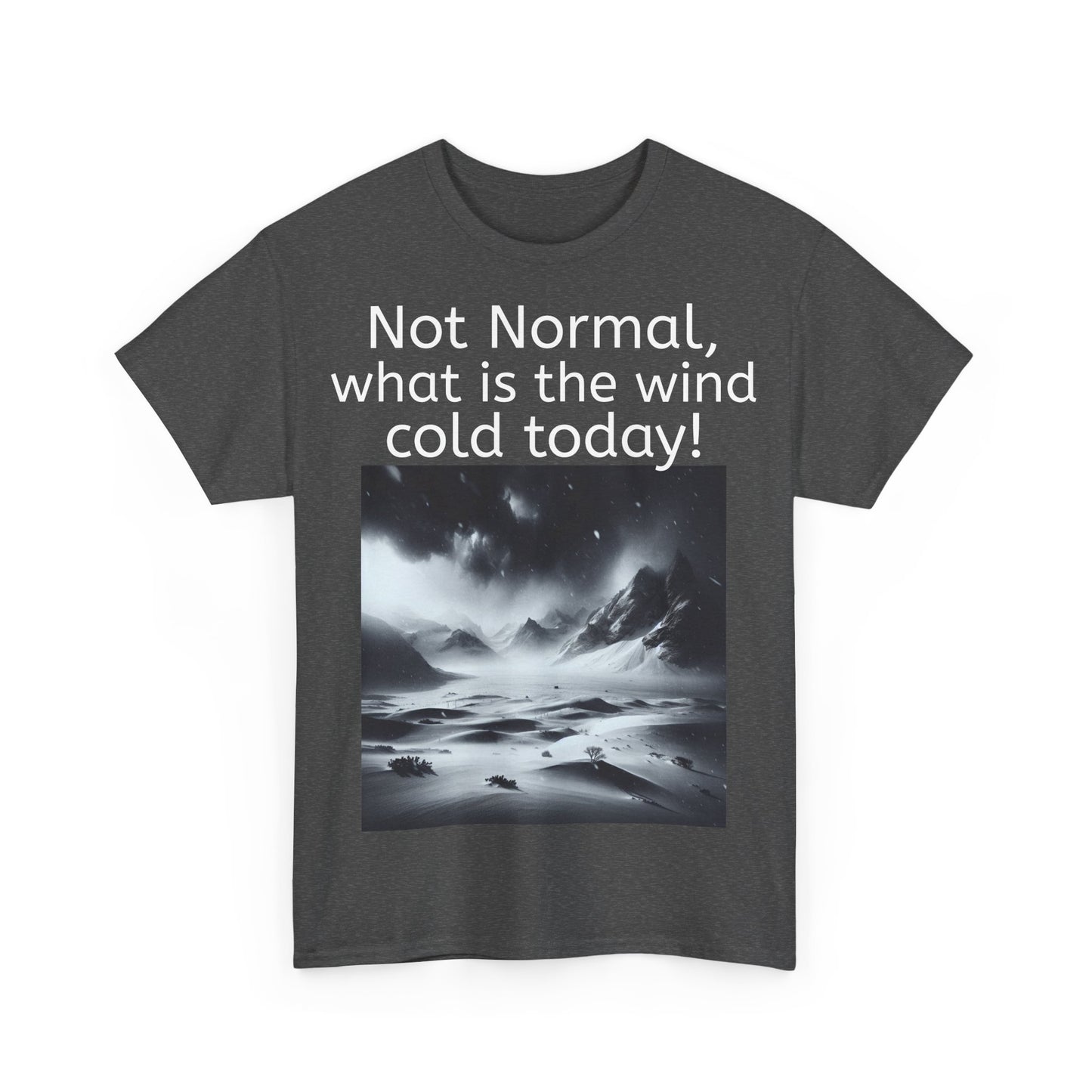 Grappige Unisex Katoenen T-Shirt - What is the wind cold today! - Pun Funny Dutch Shirt Language Gift Idea