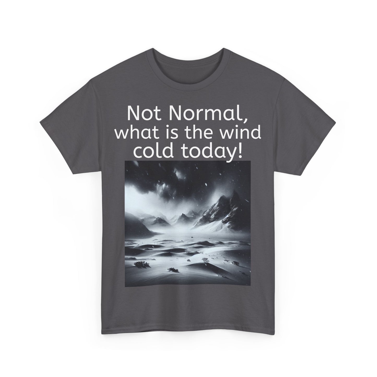 Grappige Unisex Katoenen T-Shirt - What is the wind cold today! - Pun Funny Dutch Shirt Language Gift Idea
