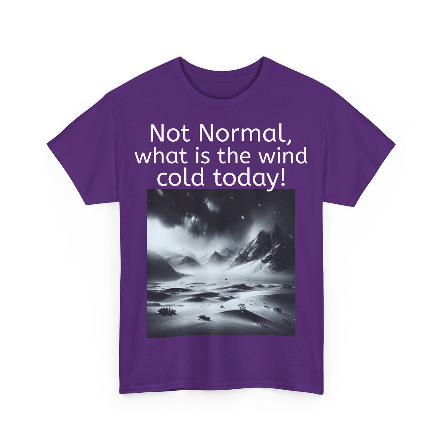 Grappige Unisex Katoenen T-Shirt - What is the wind cold today! - Pun Funny Dutch Shirt Language Gift Idea