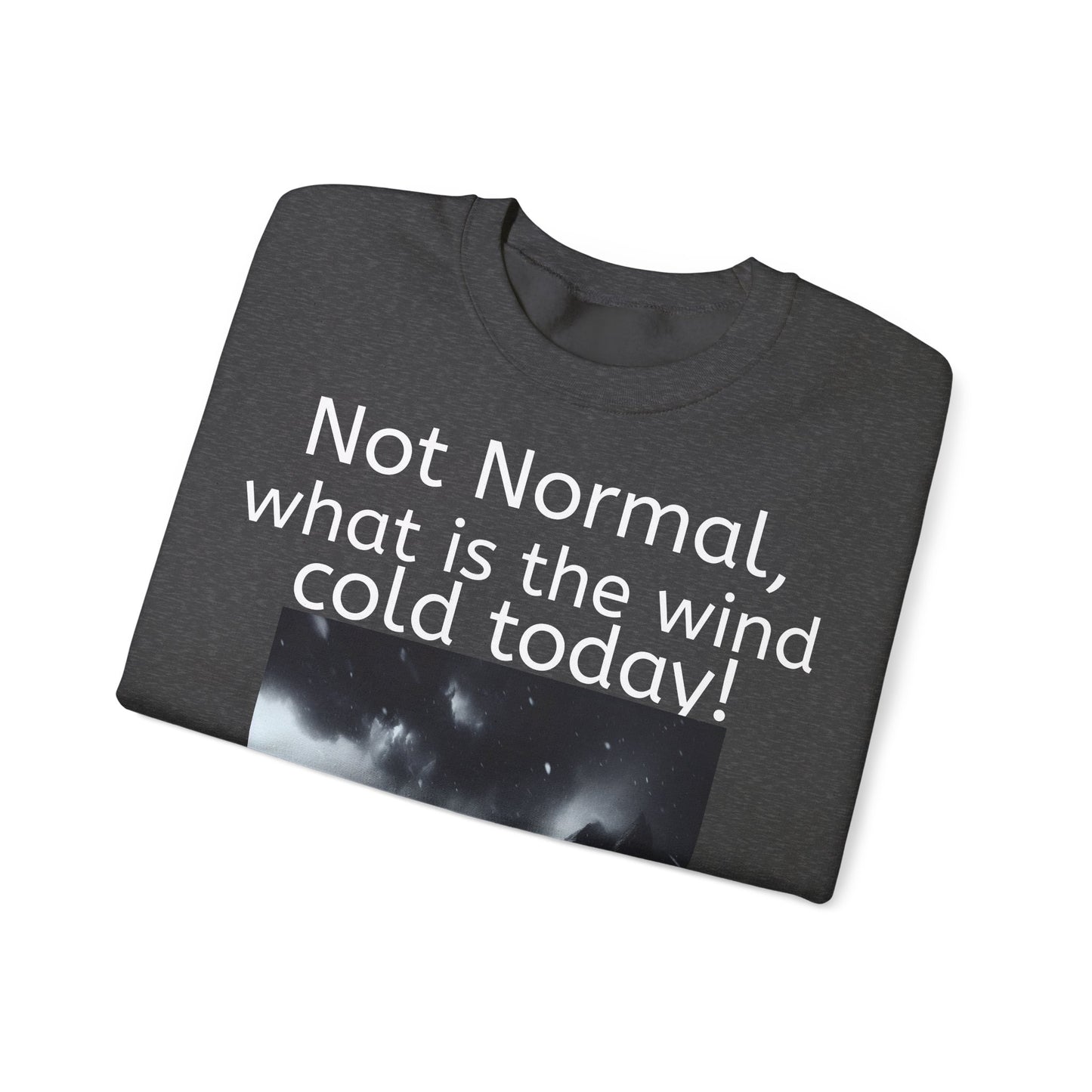 Grappige Unisex Katoenen/ Polyester Sweater Sweatshirt - Not Normal Wind Cold - Pun Funny Dutch Shirt Language Gift Idea Spreekwoord Funny