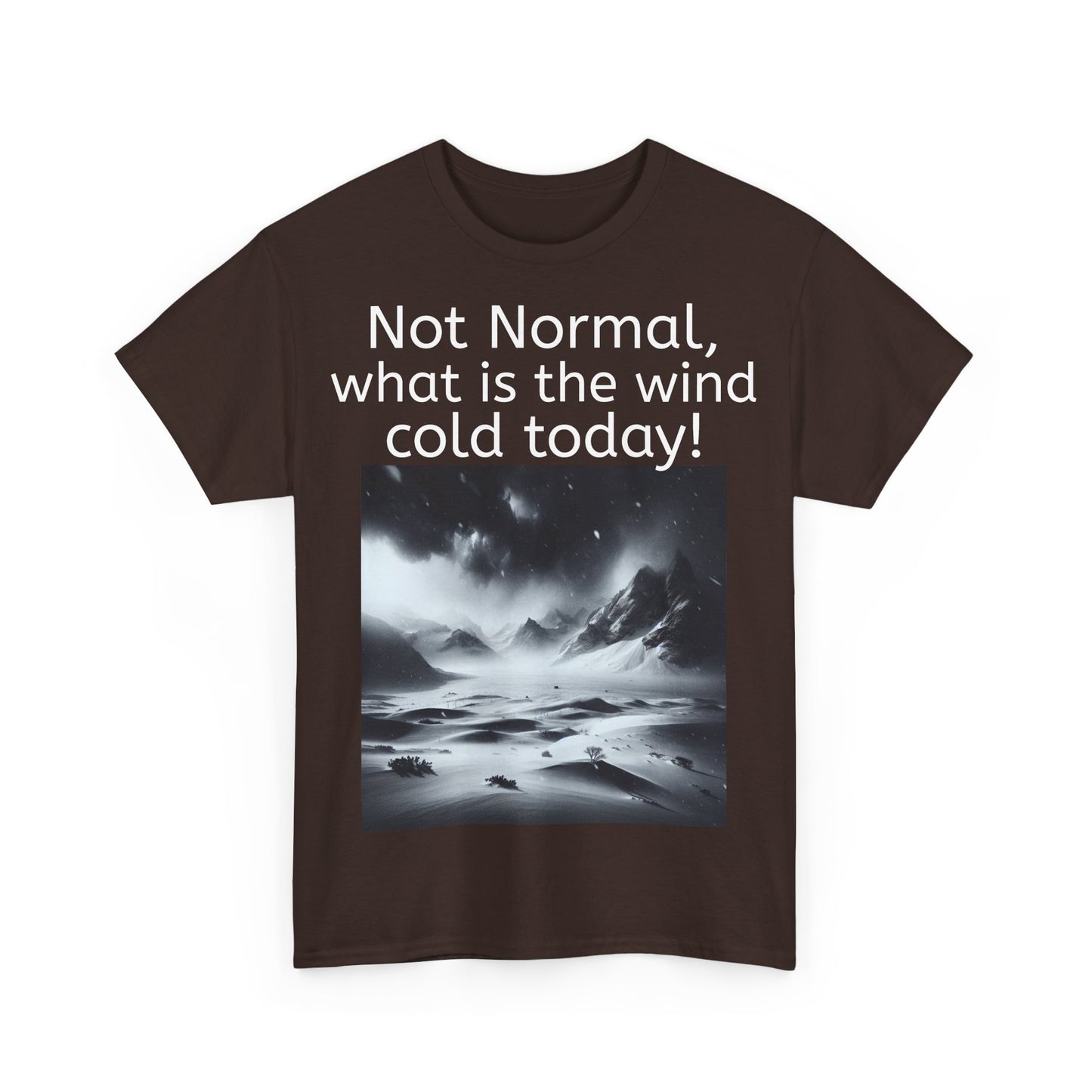 Grappige Unisex Katoenen T-Shirt - What is the wind cold today! - Pun Funny Dutch Shirt Language Gift Idea