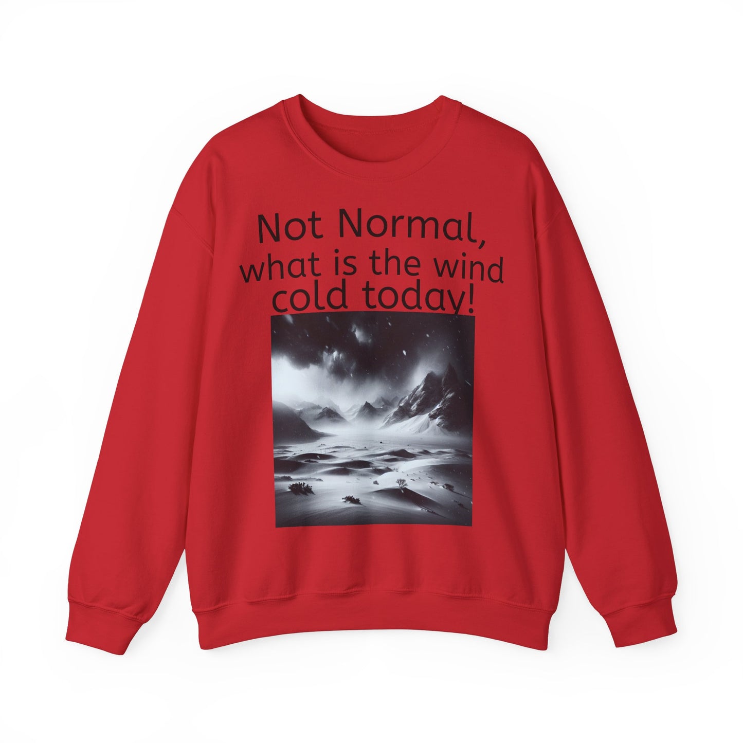 Grappige Unisex Katoenen/ Polyester Sweater Sweatshirt - Not Normal Wind Cold - Pun Funny Dutch Shirt Language Gift Idea Spreekwoord Funny