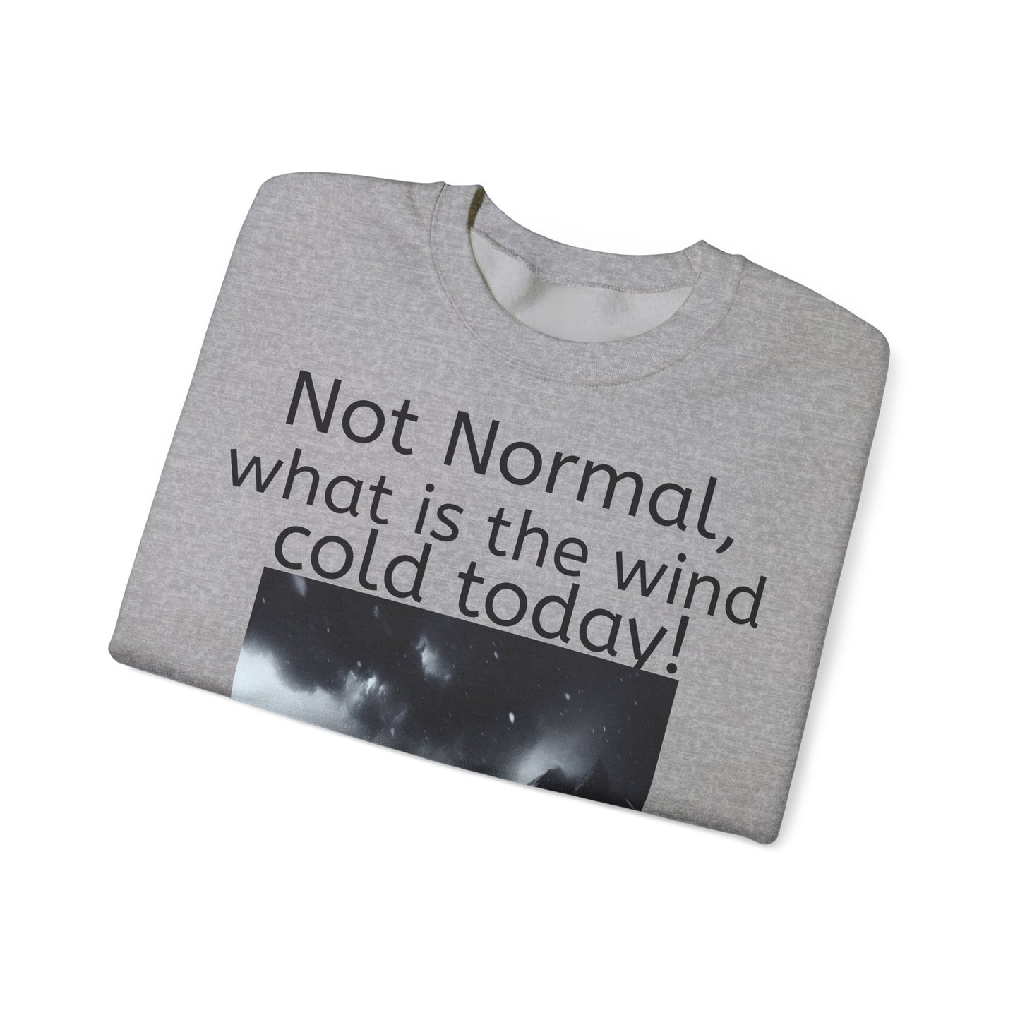Grappige Unisex Katoenen/ Polyester Sweater Sweatshirt - Not Normal Wind Cold - Pun Funny Dutch Shirt Language Gift Idea Spreekwoord Funny