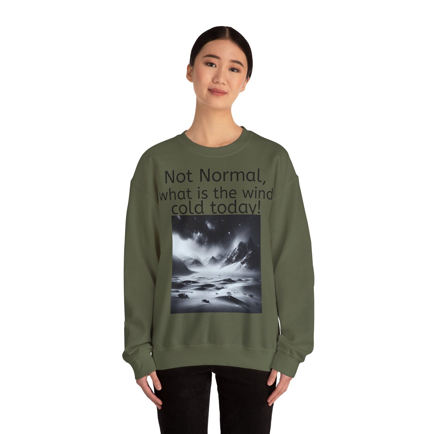 Grappige Unisex Katoenen/ Polyester Sweater Sweatshirt - Not Normal Wind Cold - Pun Funny Dutch Shirt Language Gift Idea Spreekwoord Funny