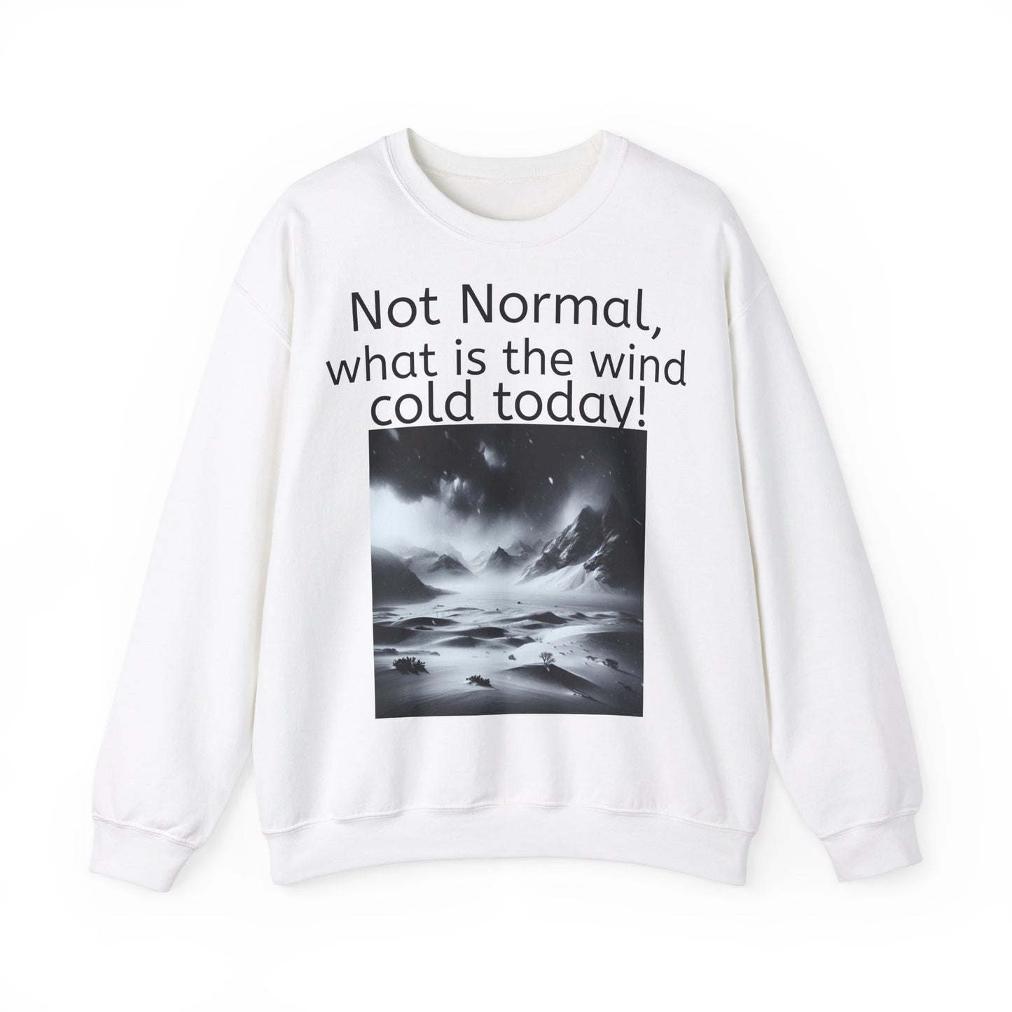Grappige Unisex Katoenen/ Polyester Sweater Sweatshirt - Not Normal Wind Cold - Pun Funny Dutch Shirt Language Gift Idea Spreekwoord Funny