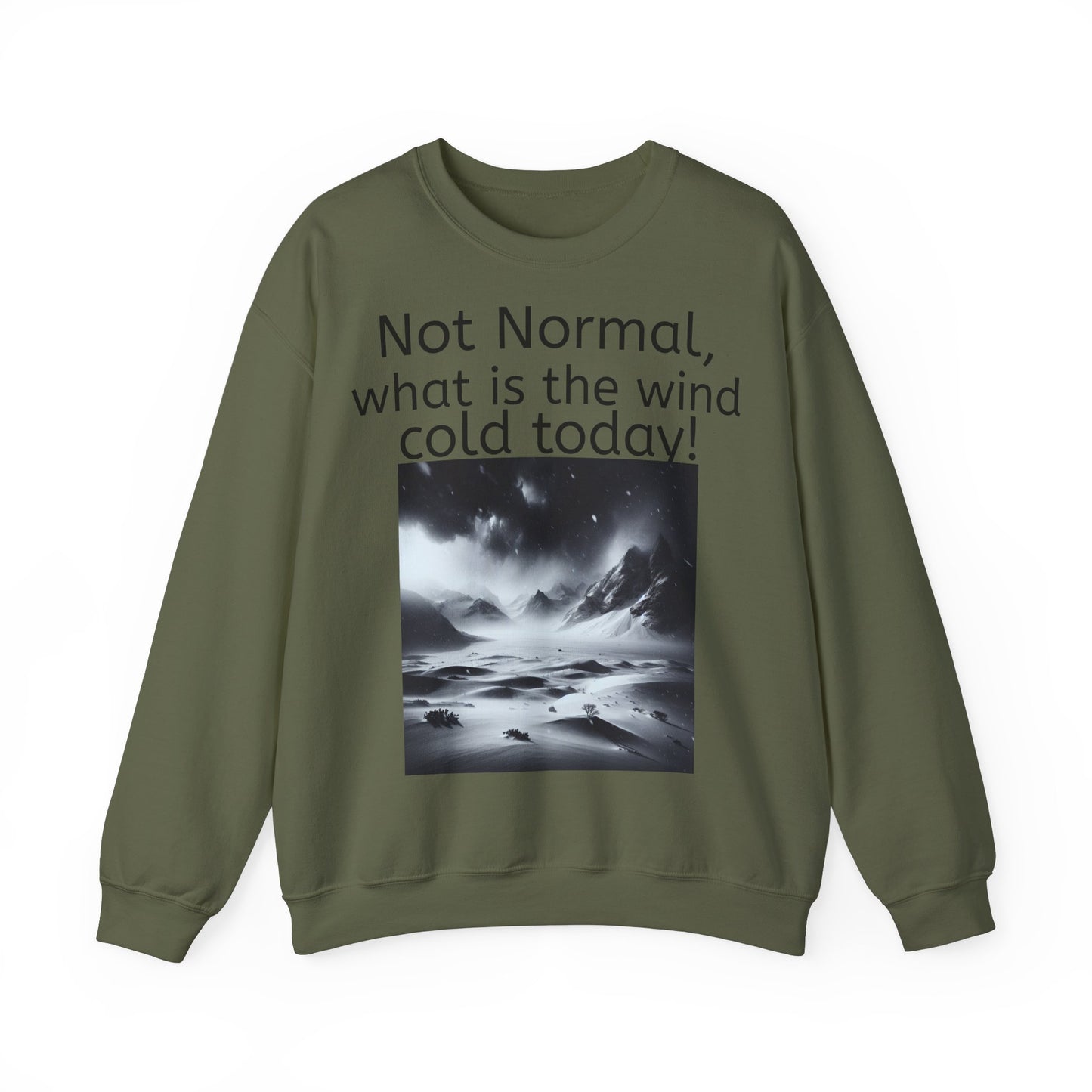 Grappige Unisex Katoenen/ Polyester Sweater Sweatshirt - Not Normal Wind Cold - Pun Funny Dutch Shirt Language Gift Idea Spreekwoord Funny
