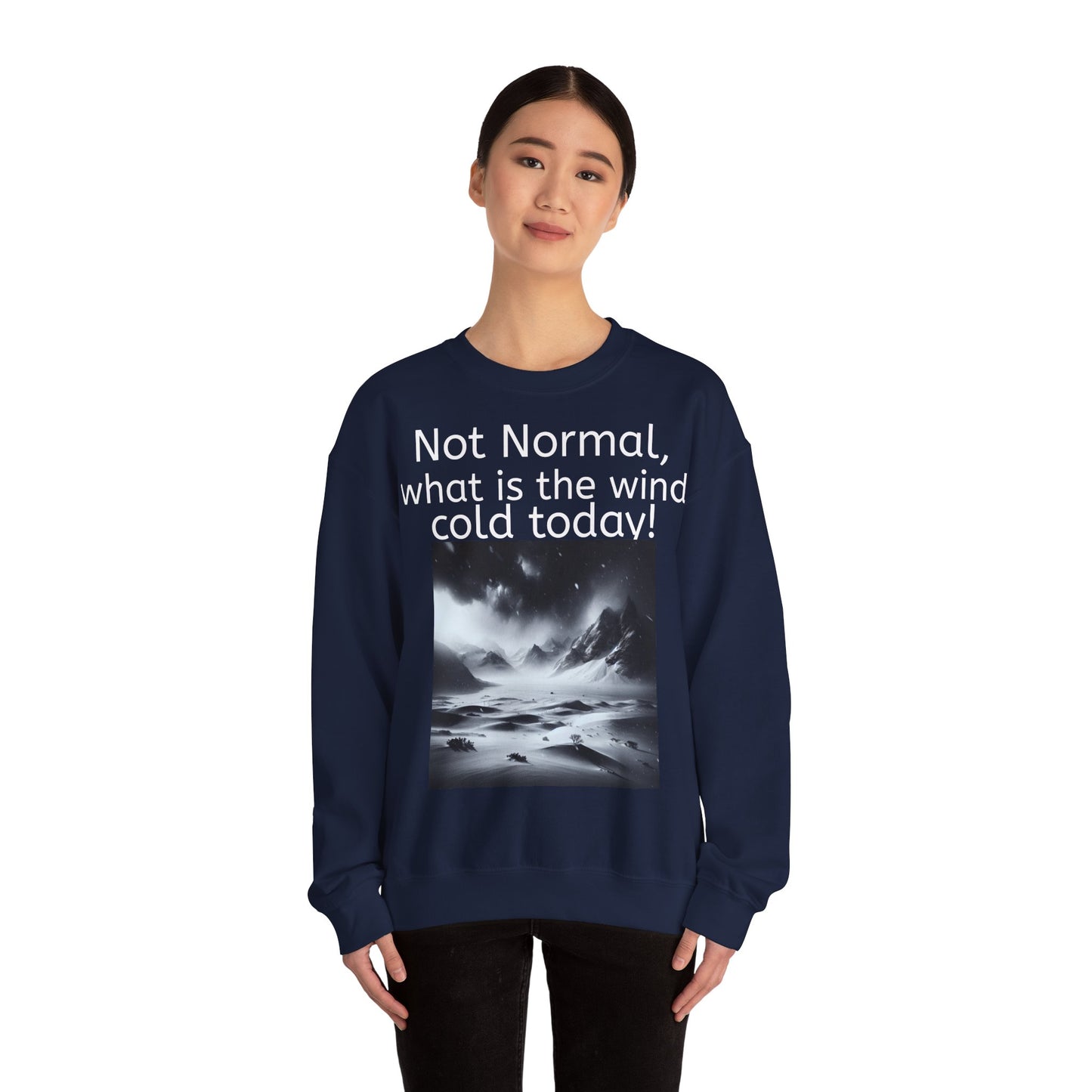 Grappige Unisex Katoenen/ Polyester Sweater Sweatshirt - Not Normal Wind Cold - Pun Funny Dutch Shirt Language Gift Idea Spreekwoord Funny