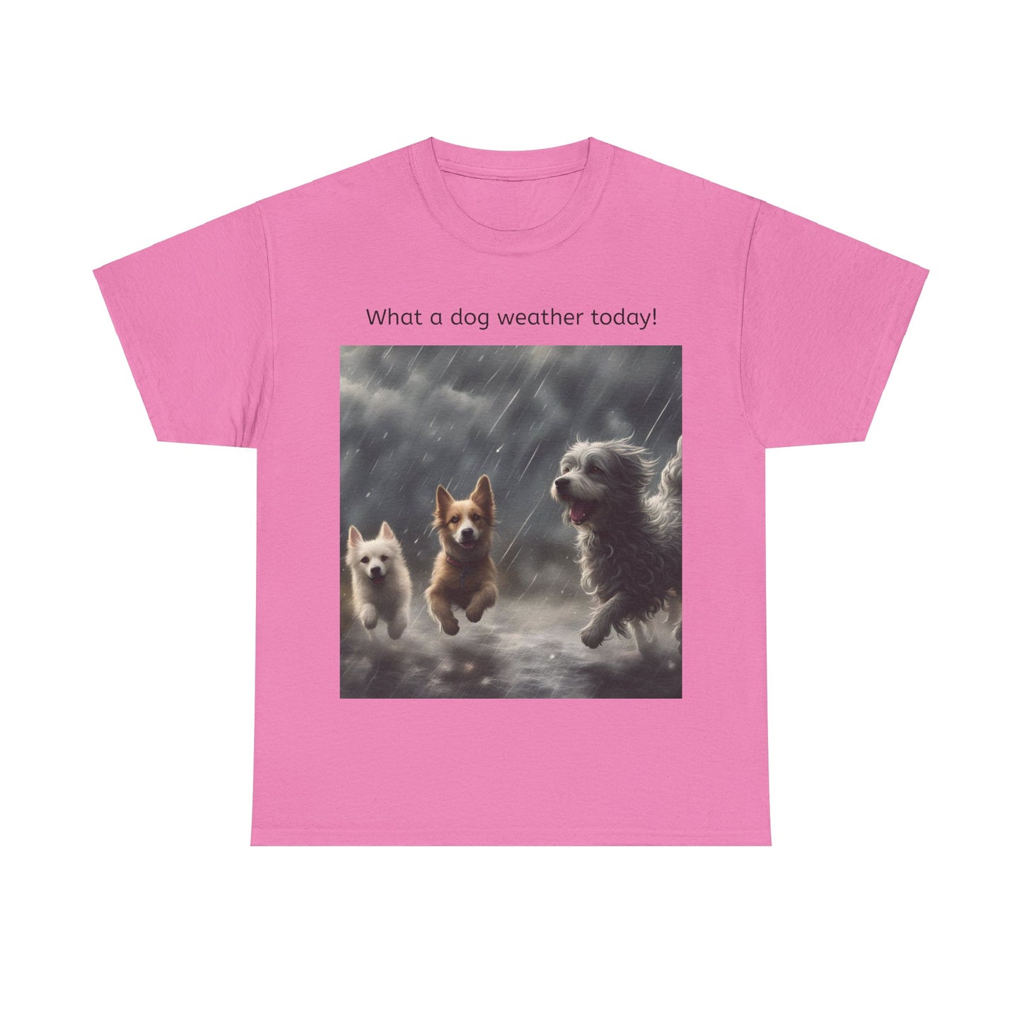 Grappige Unisex Katoenen T-Shirt - What a dog weather today! - Pun Funny Dutch Shirt Language Gift Idea