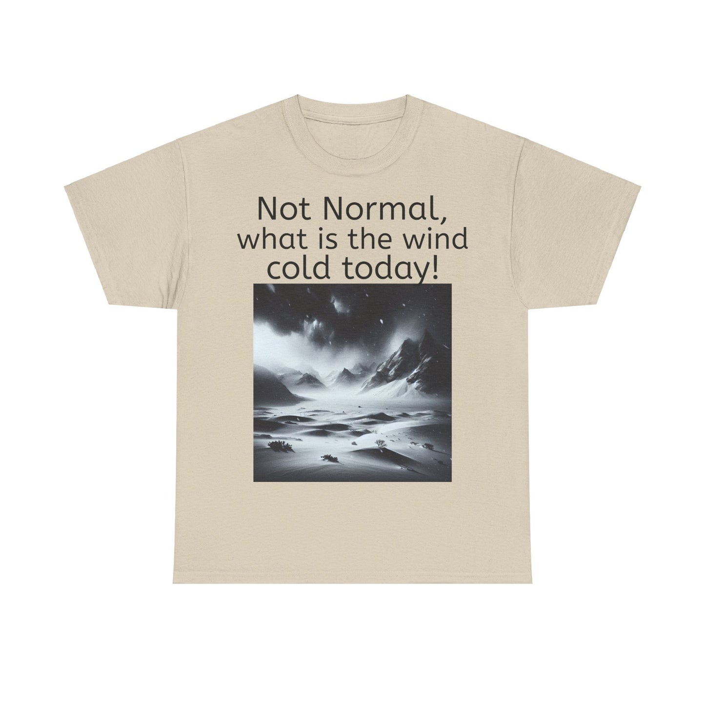 Grappige Unisex Katoenen T-Shirt - What is the wind cold today! - Pun Funny Dutch Shirt Language Gift Idea