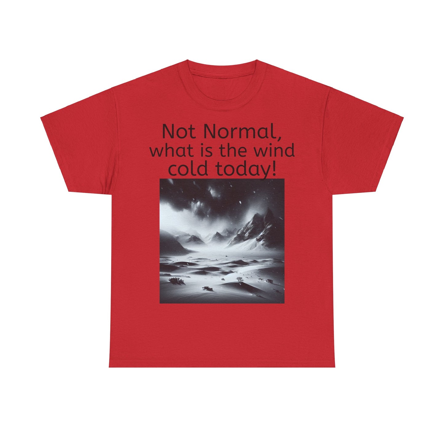 Grappige Unisex Katoenen T-Shirt - What is the wind cold today! - Pun Funny Dutch Shirt Language Gift Idea