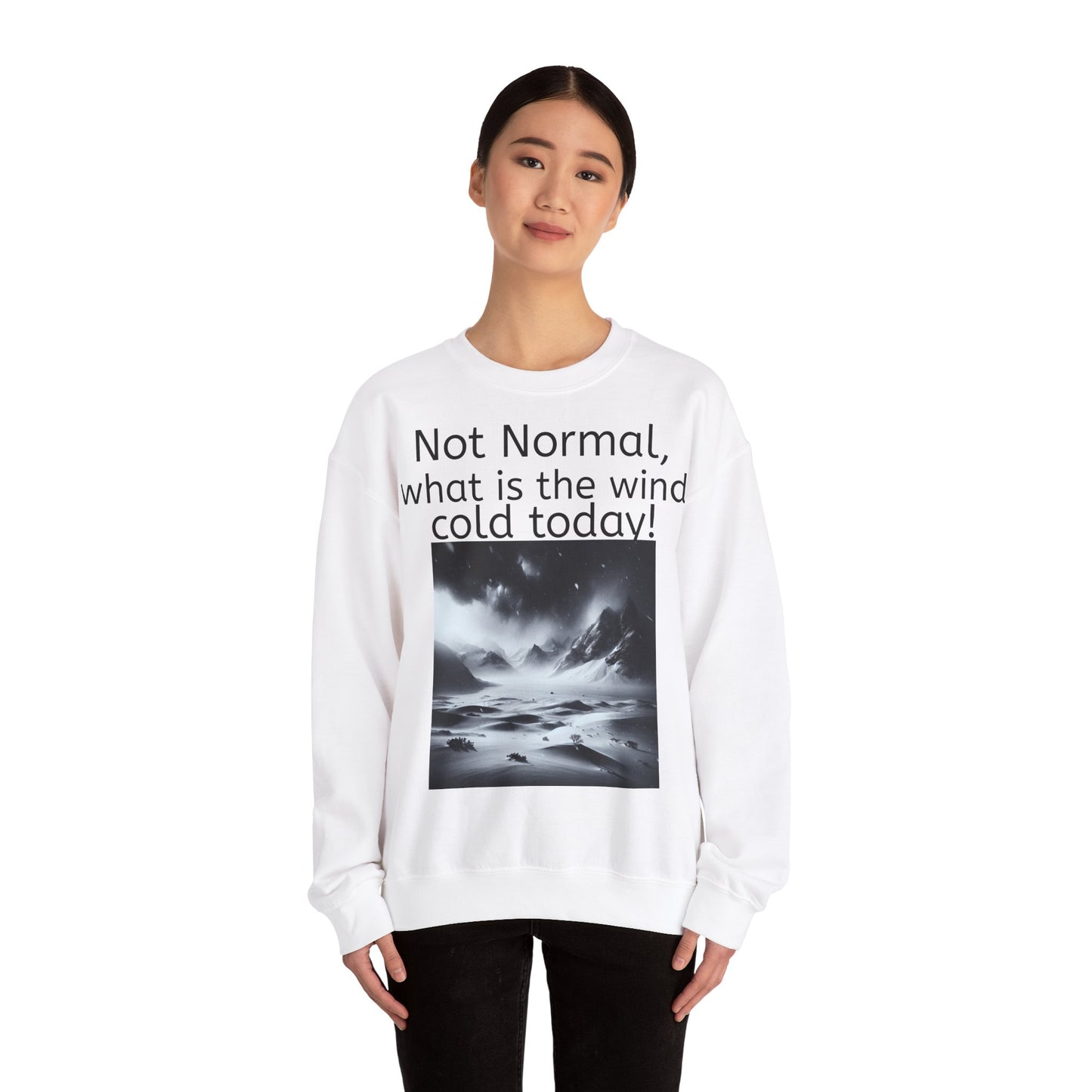 Grappige Unisex Katoenen/ Polyester Sweater Sweatshirt - Not Normal Wind Cold - Pun Funny Dutch Shirt Language Gift Idea Spreekwoord Funny