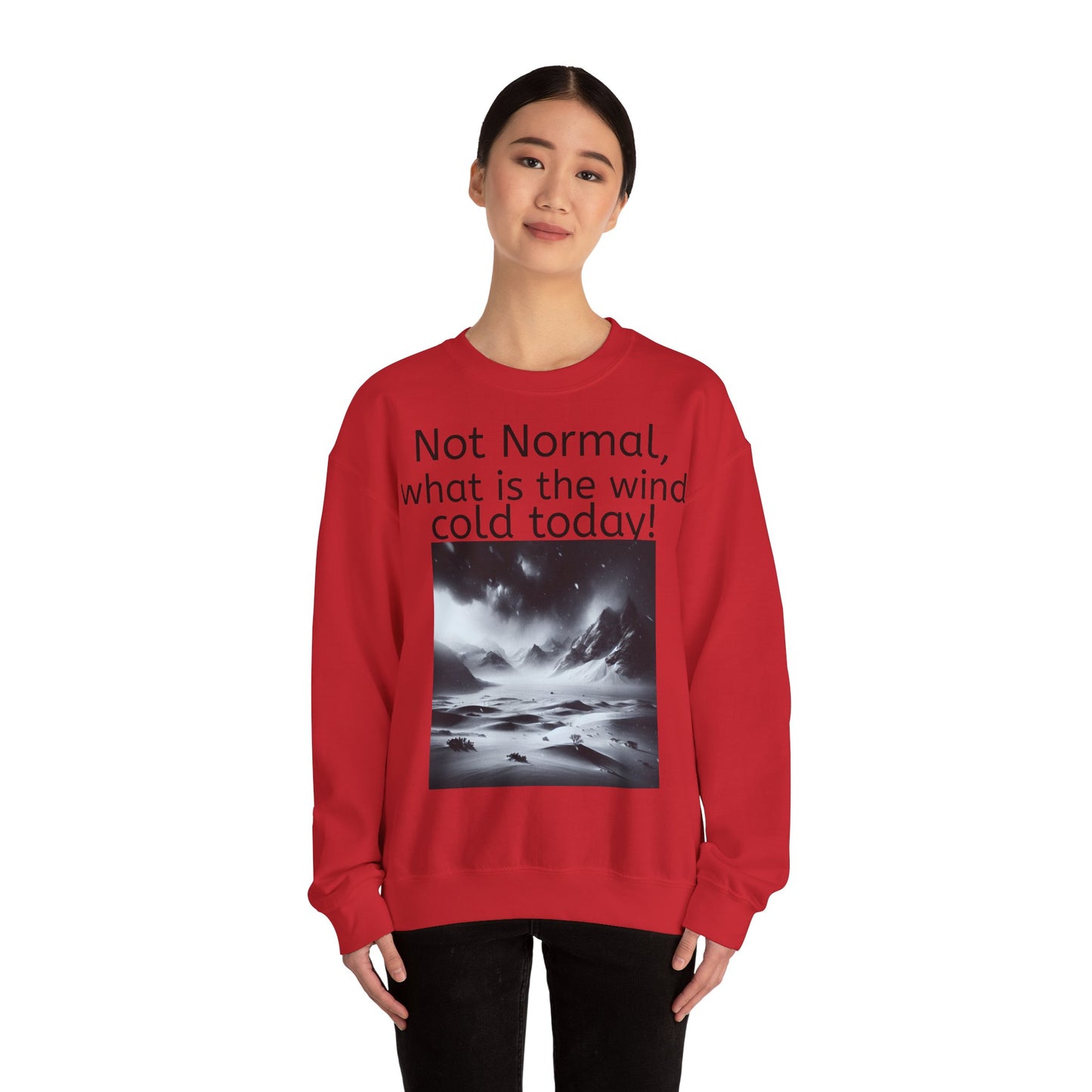 Grappige Unisex Katoenen/ Polyester Sweater Sweatshirt - Not Normal Wind Cold - Pun Funny Dutch Shirt Language Gift Idea Spreekwoord Funny