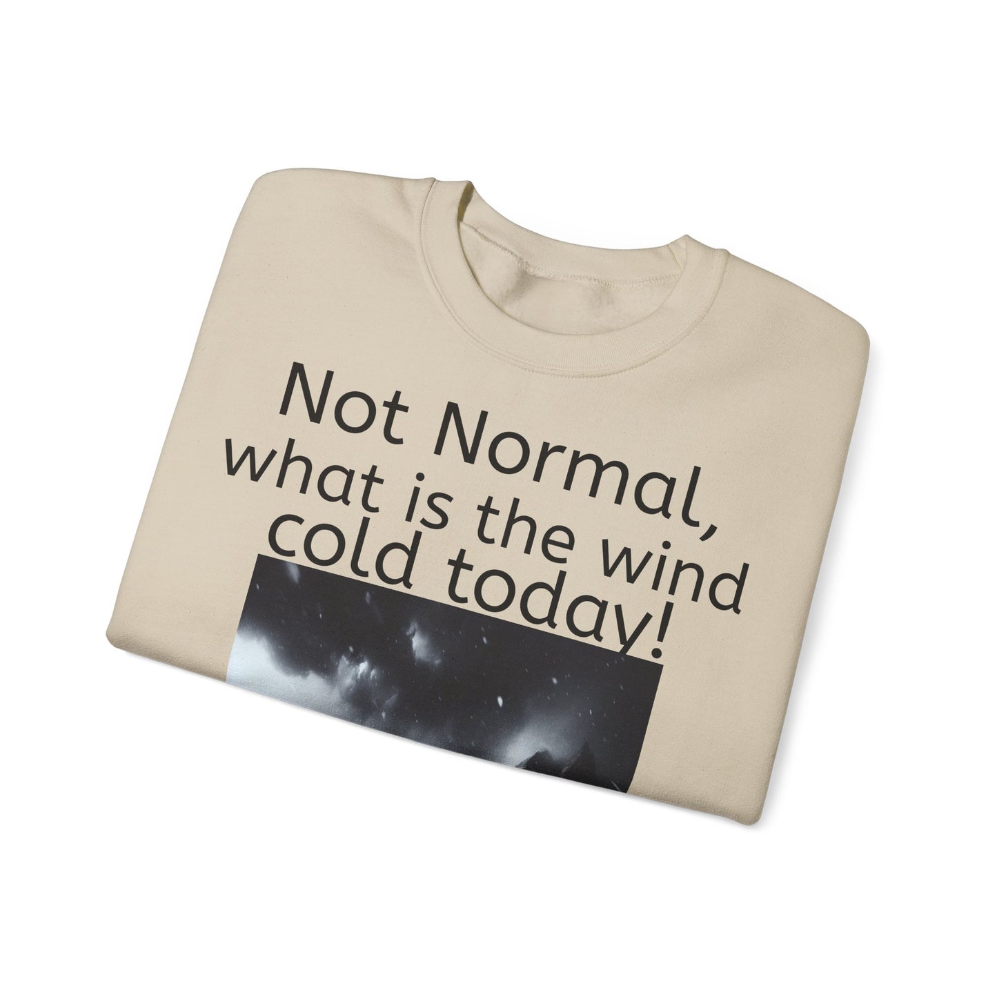 Grappige Unisex Katoenen/ Polyester Sweater Sweatshirt - Not Normal Wind Cold - Pun Funny Dutch Shirt Language Gift Idea Spreekwoord Funny