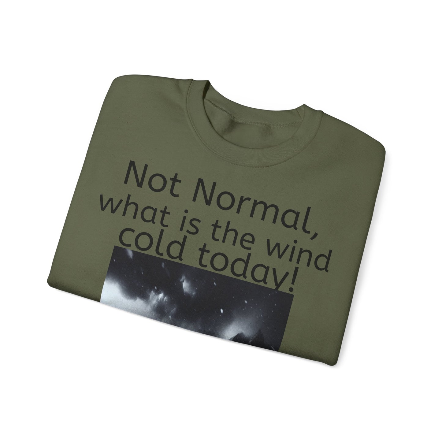 Grappige Unisex Katoenen/ Polyester Sweater Sweatshirt - Not Normal Wind Cold - Pun Funny Dutch Shirt Language Gift Idea Spreekwoord Funny