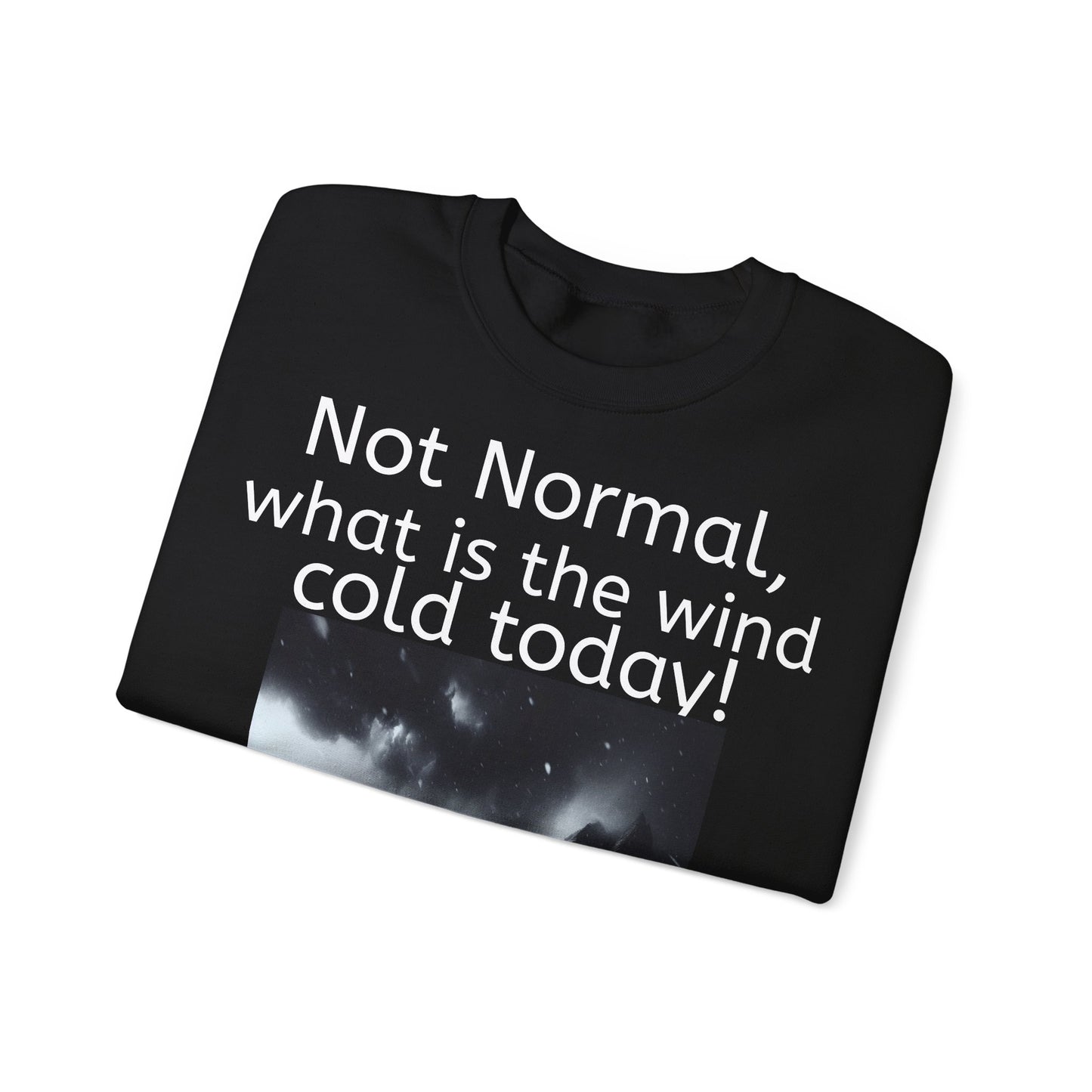 Grappige Unisex Katoenen/ Polyester Sweater Sweatshirt - Not Normal Wind Cold - Pun Funny Dutch Shirt Language Gift Idea Spreekwoord Funny