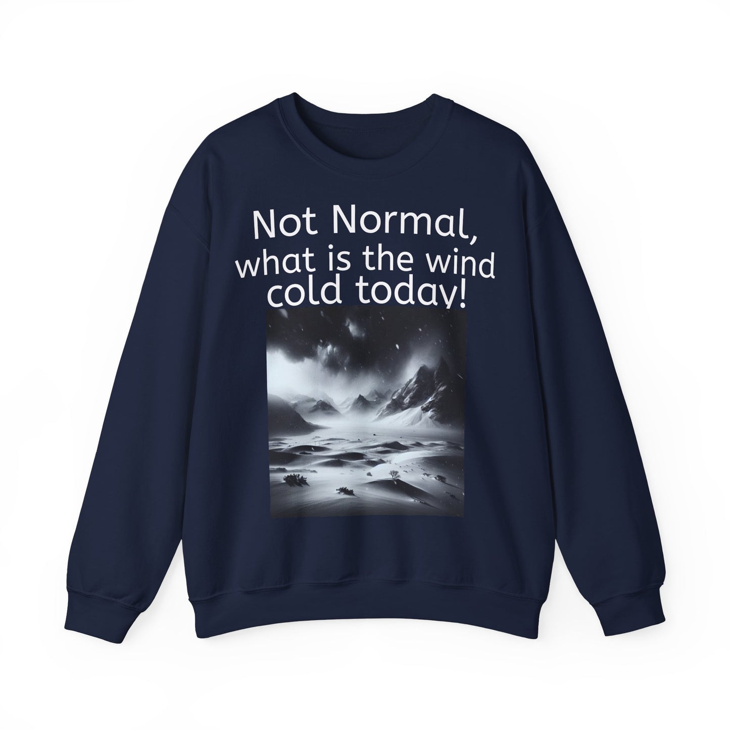 Grappige Unisex Katoenen/ Polyester Sweater Sweatshirt - Not Normal Wind Cold - Pun Funny Dutch Shirt Language Gift Idea Spreekwoord Funny