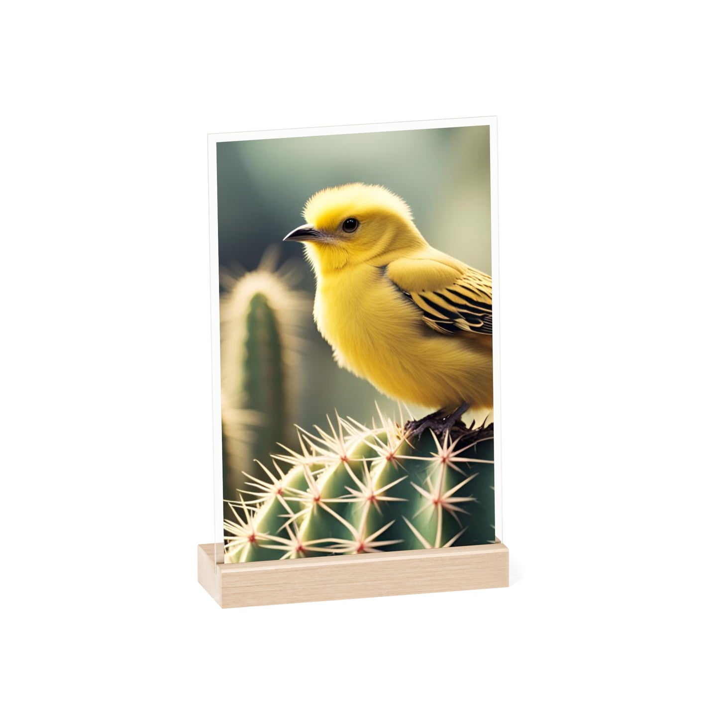 Acrylic Sign, Natural Bird Cacti Design, Home Office Decor Trend, Beautiful Country Style, Gift, Desk, Bureau Cadeu Idee Vogel Cactus