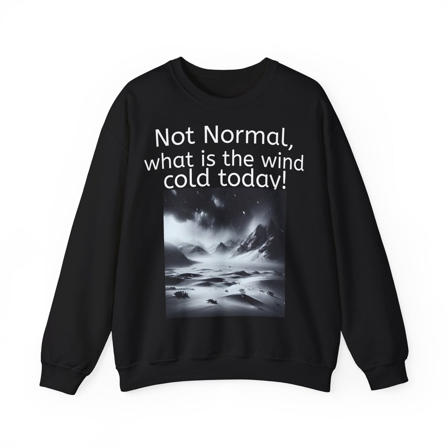 Grappige Unisex Katoenen/ Polyester Sweater Sweatshirt - Not Normal Wind Cold - Pun Funny Dutch Shirt Language Gift Idea Spreekwoord Funny