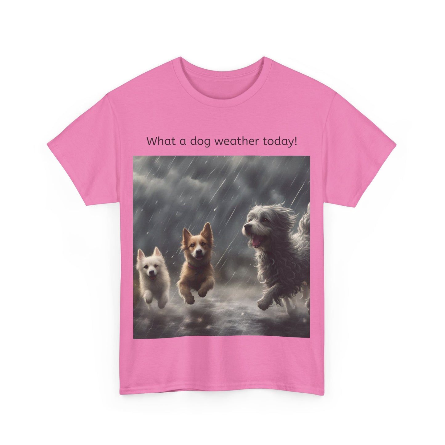 Grappige Unisex Katoenen T-Shirt - What a dog weather today! - Pun Funny Dutch Shirt Language Gift Idea