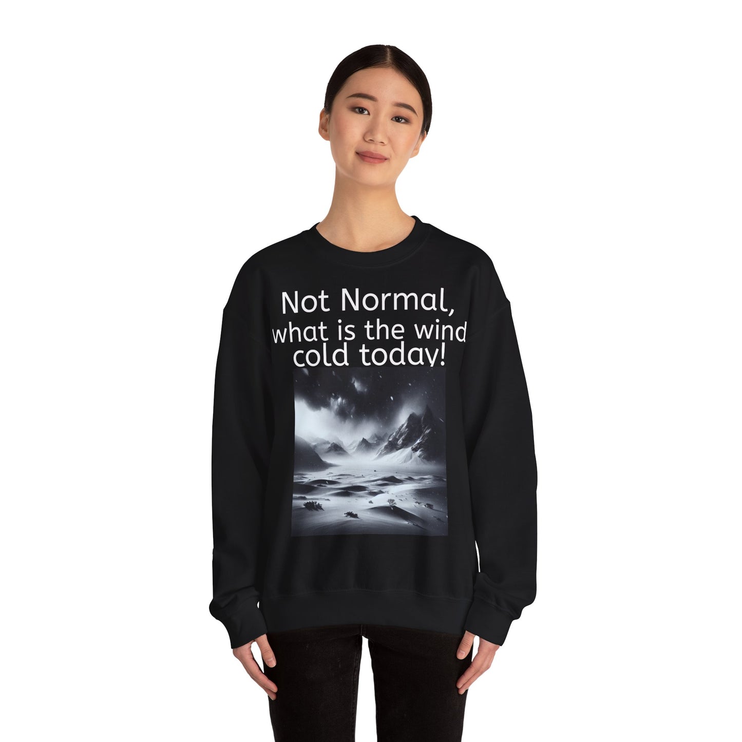 Grappige Unisex Katoenen/ Polyester Sweater Sweatshirt - Not Normal Wind Cold - Pun Funny Dutch Shirt Language Gift Idea Spreekwoord Funny