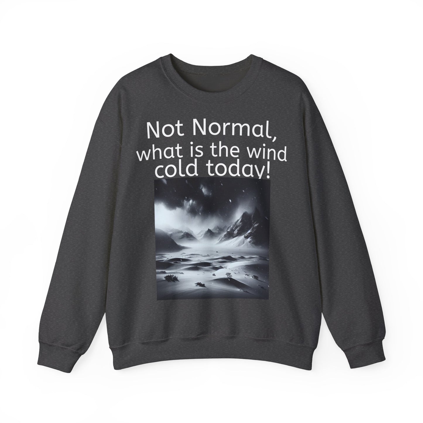 Grappige Unisex Katoenen/ Polyester Sweater Sweatshirt - Not Normal Wind Cold - Pun Funny Dutch Shirt Language Gift Idea Spreekwoord Funny