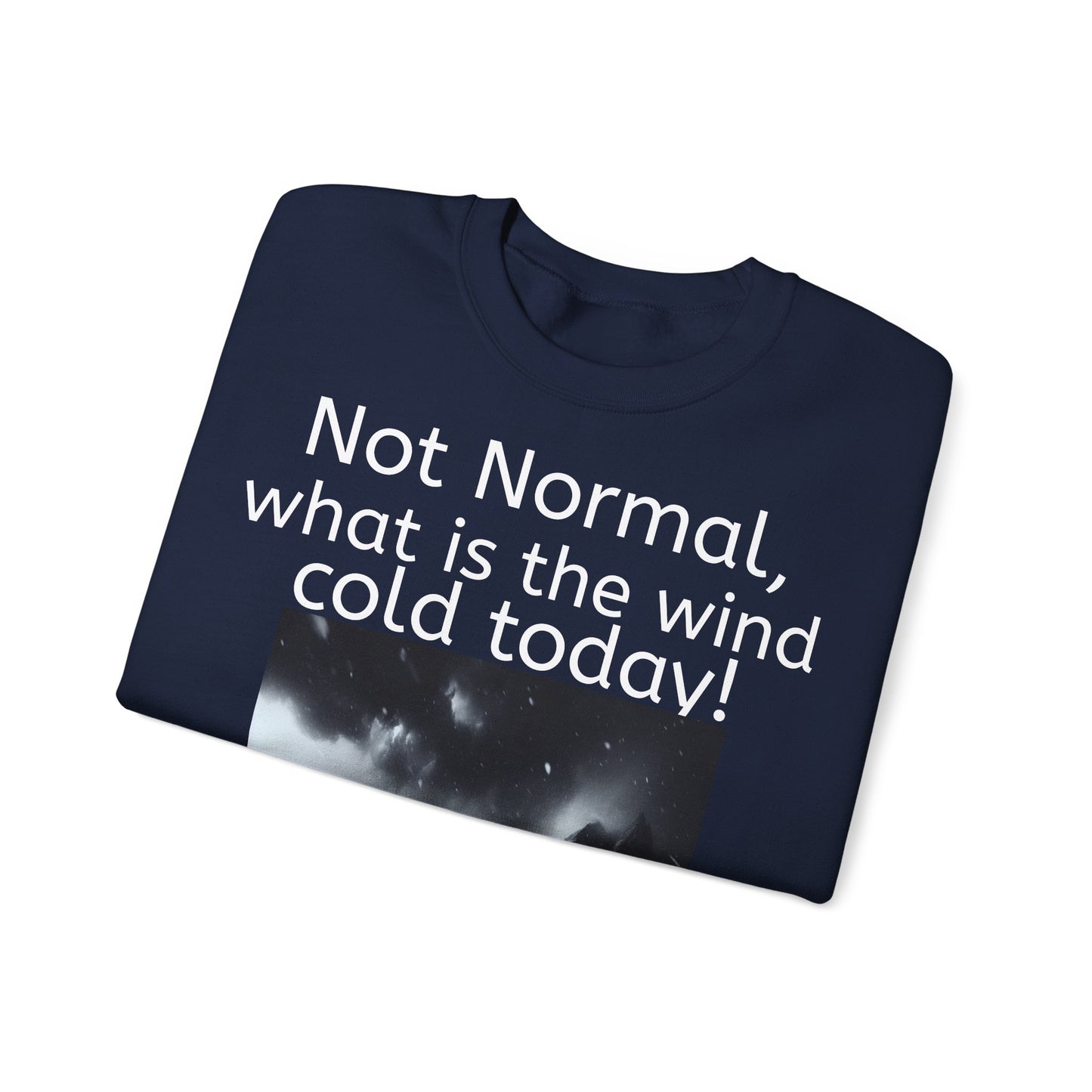 Grappige Unisex Katoenen/ Polyester Sweater Sweatshirt - Not Normal Wind Cold - Pun Funny Dutch Shirt Language Gift Idea Spreekwoord Funny