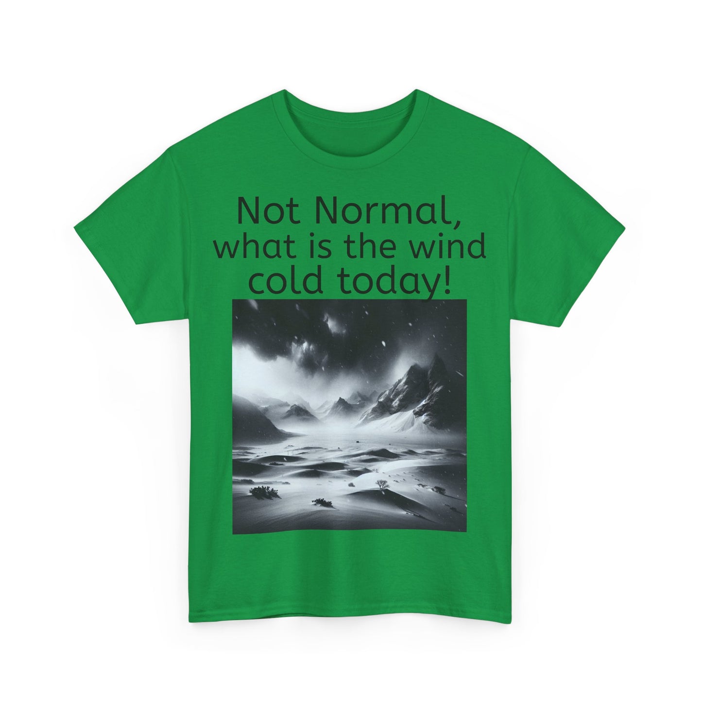 Grappige Unisex Katoenen T-Shirt - What is the wind cold today! - Pun Funny Dutch Shirt Language Gift Idea