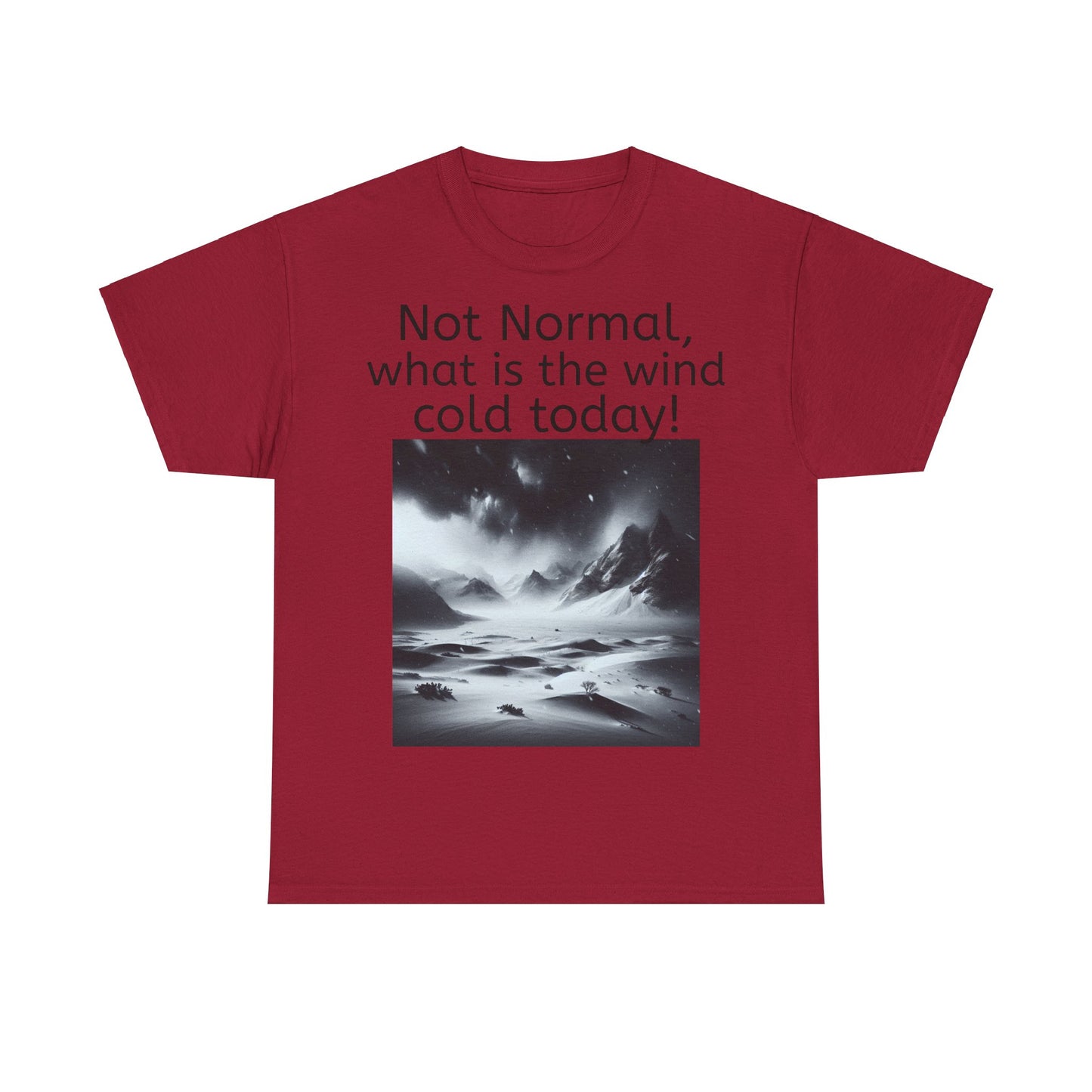 Grappige Unisex Katoenen T-Shirt - What is the wind cold today! - Pun Funny Dutch Shirt Language Gift Idea