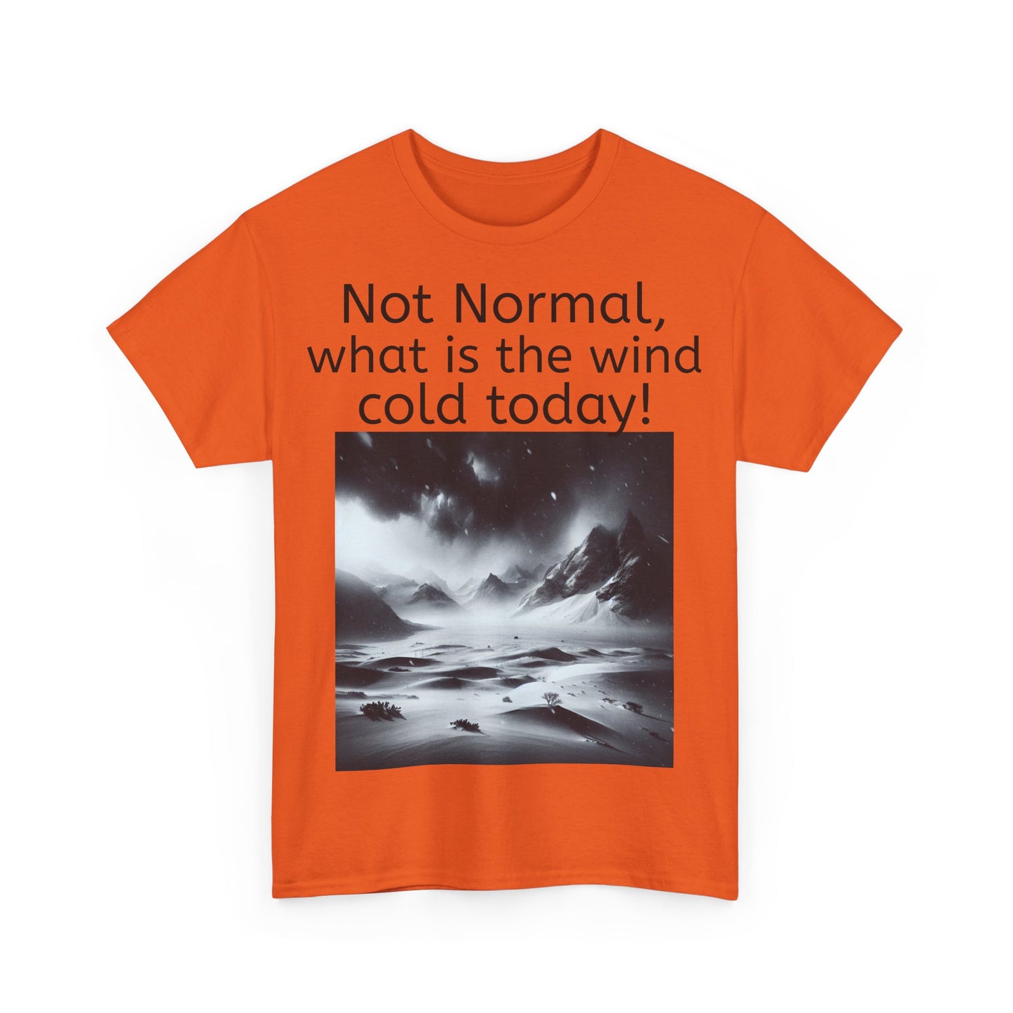 Grappige Unisex Katoenen T-Shirt - What is the wind cold today! - Pun Funny Dutch Shirt Language Gift Idea