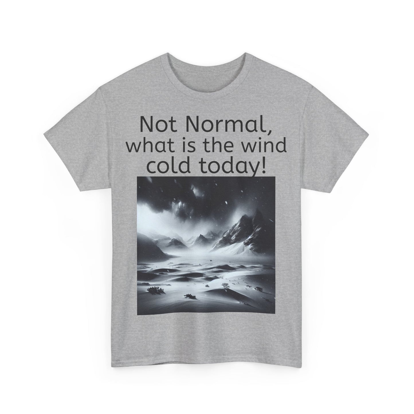 Grappige Unisex Katoenen T-Shirt - What is the wind cold today! - Pun Funny Dutch Shirt Language Gift Idea