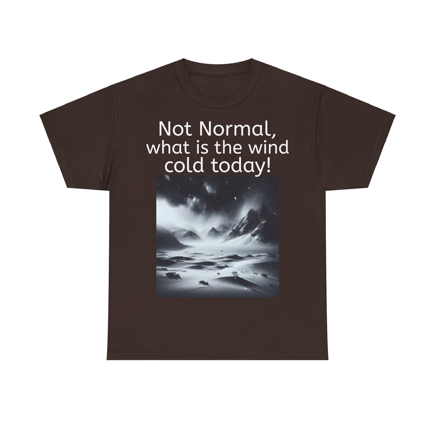 Grappige Unisex Katoenen T-Shirt - What is the wind cold today! - Pun Funny Dutch Shirt Language Gift Idea