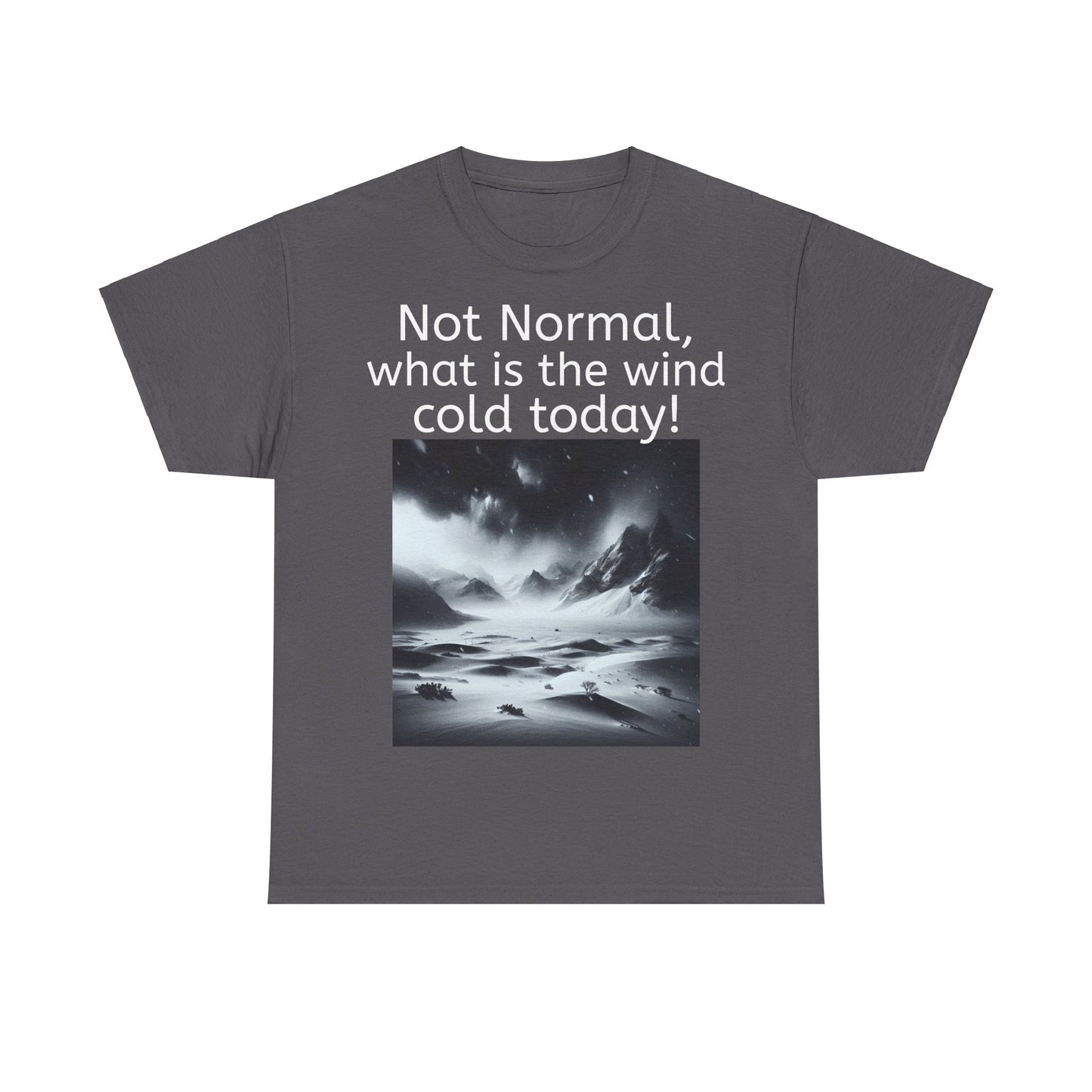 Grappige Unisex Katoenen T-Shirt - What is the wind cold today! - Pun Funny Dutch Shirt Language Gift Idea
