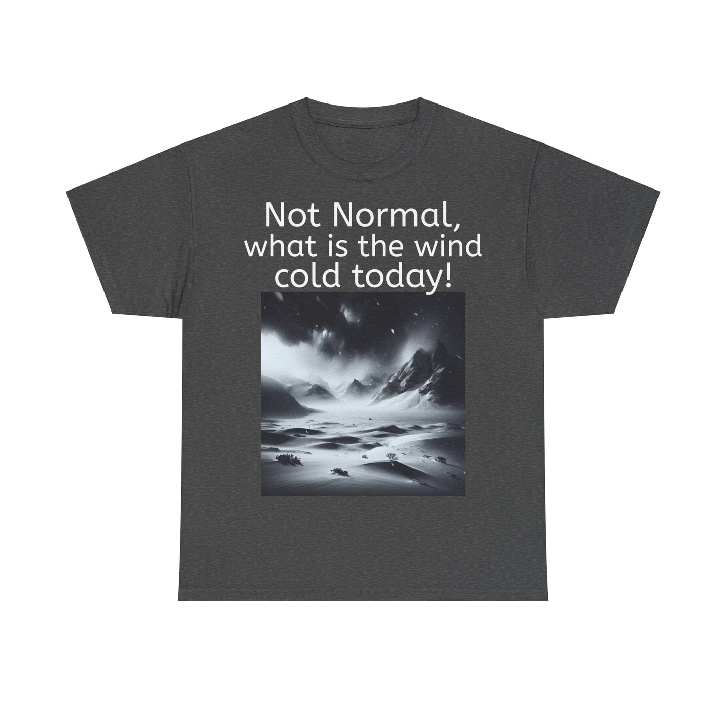 Grappige Unisex Katoenen T-Shirt - What is the wind cold today! - Pun Funny Dutch Shirt Language Gift Idea