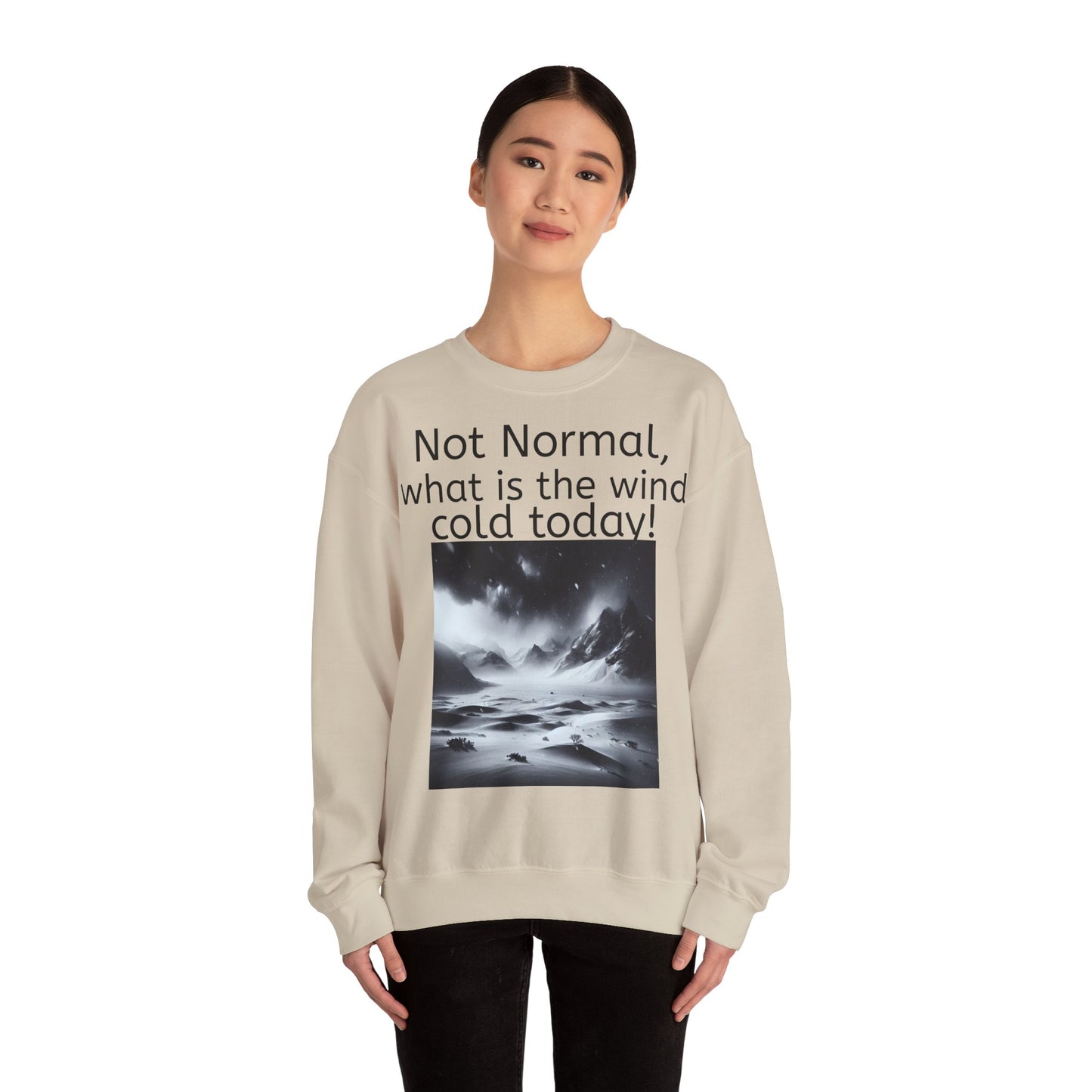 Grappige Unisex Katoenen/ Polyester Sweater Sweatshirt - Not Normal Wind Cold - Pun Funny Dutch Shirt Language Gift Idea Spreekwoord Funny