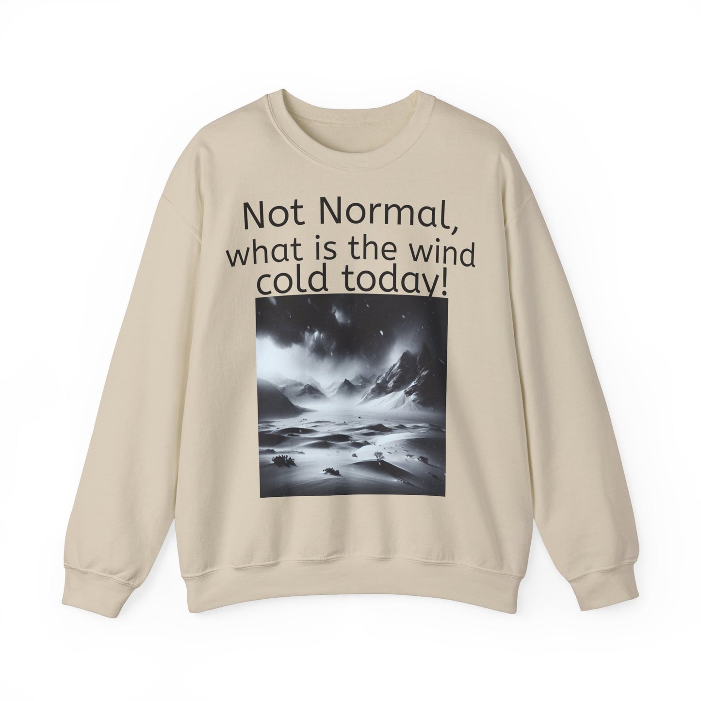 Grappige Unisex Katoenen/ Polyester Sweater Sweatshirt - Not Normal Wind Cold - Pun Funny Dutch Shirt Language Gift Idea Spreekwoord Funny