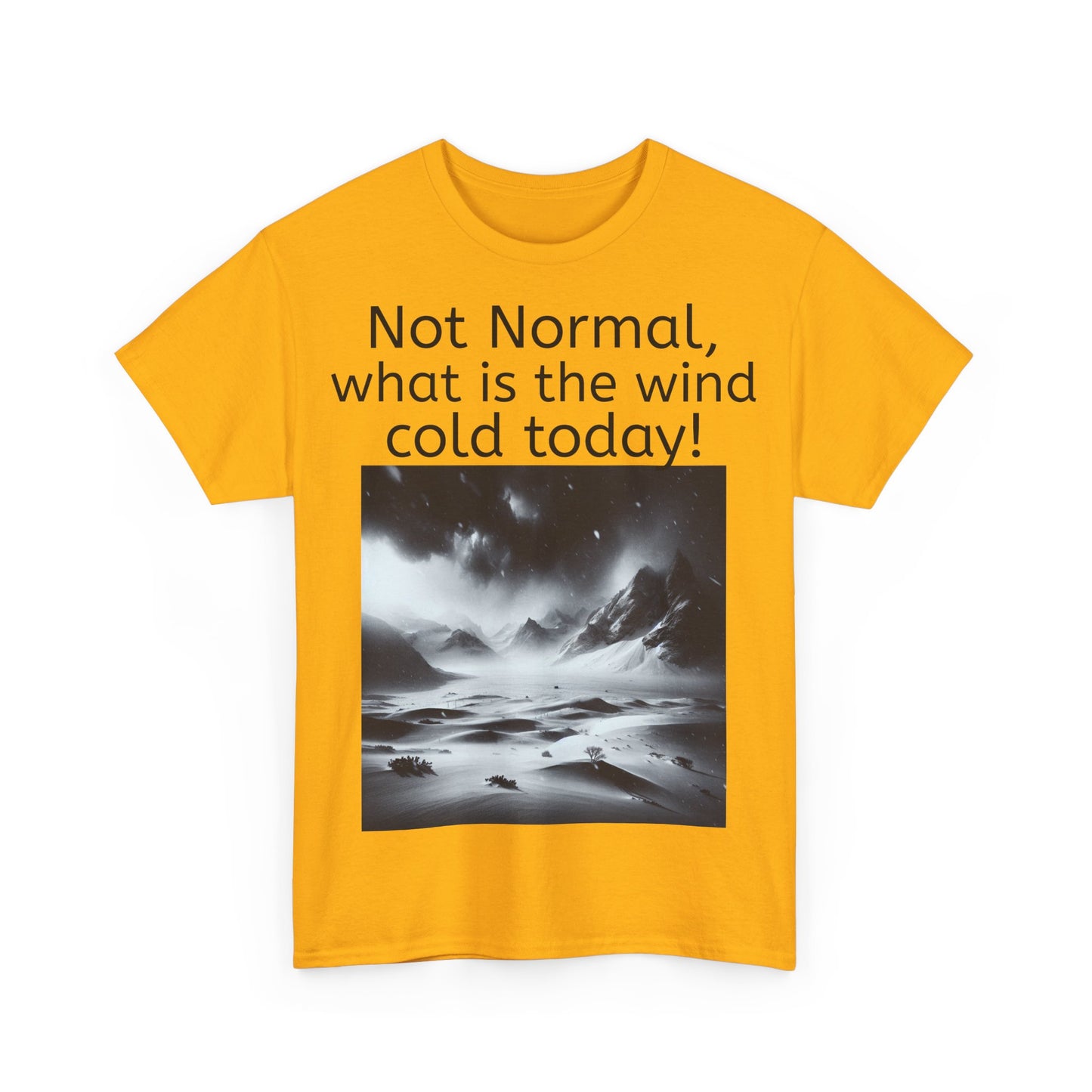 Grappige Unisex Katoenen T-Shirt - What is the wind cold today! - Pun Funny Dutch Shirt Language Gift Idea
