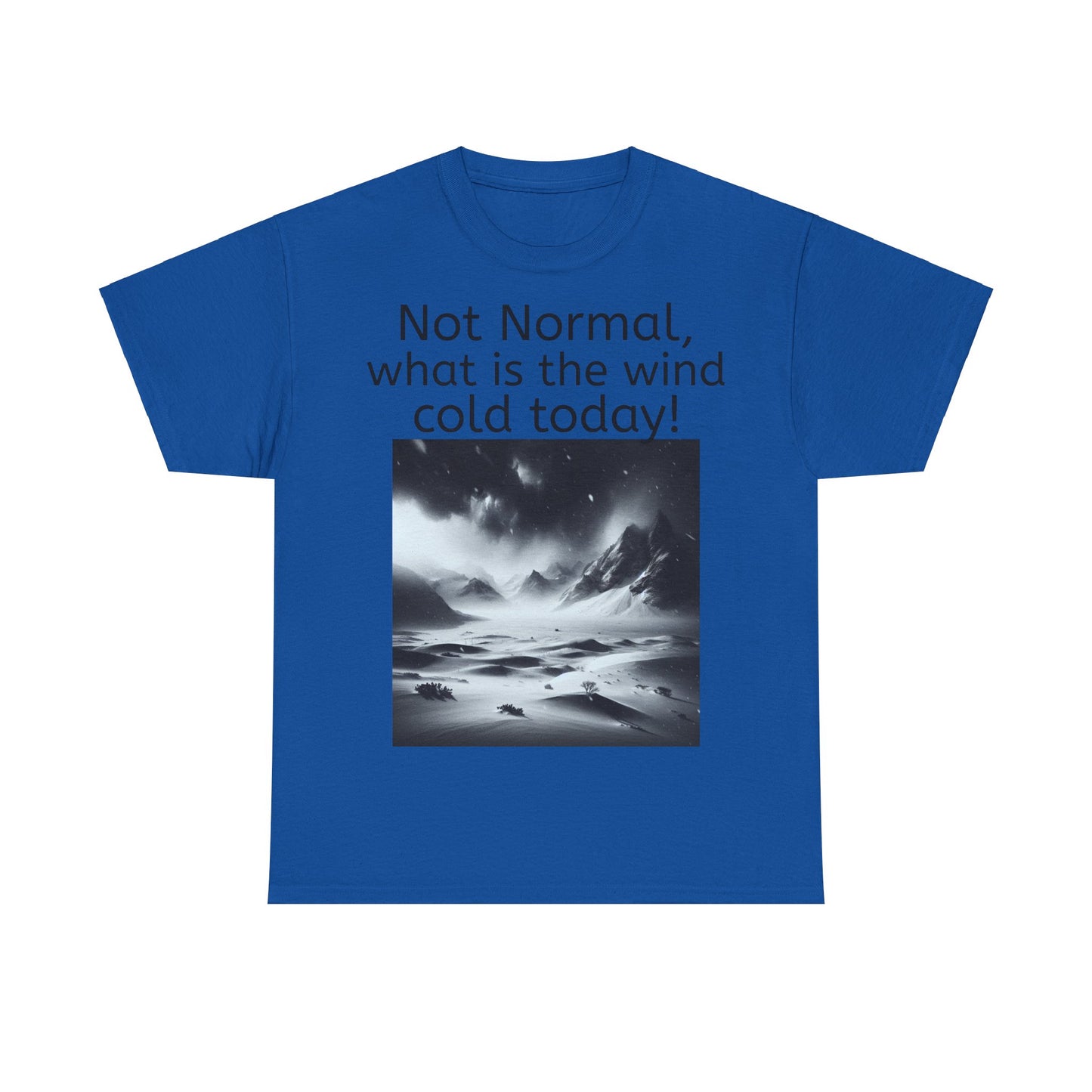 Grappige Unisex Katoenen T-Shirt - What is the wind cold today! - Pun Funny Dutch Shirt Language Gift Idea