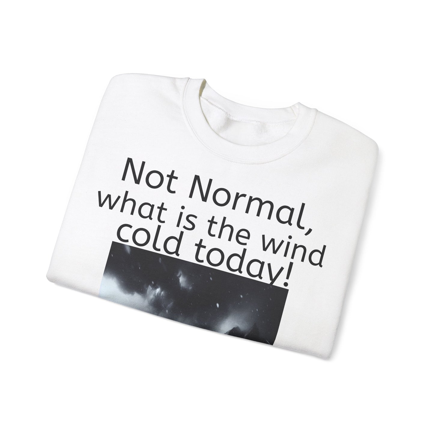 Grappige Unisex Katoenen/ Polyester Sweater Sweatshirt - Not Normal Wind Cold - Pun Funny Dutch Shirt Language Gift Idea Spreekwoord Funny