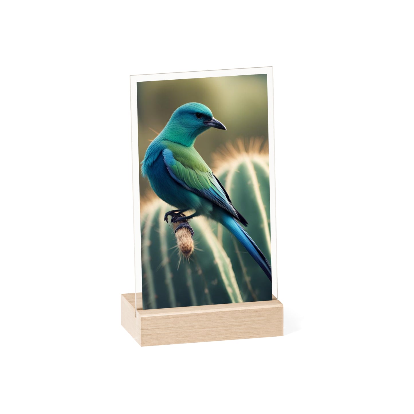 Acrylic Sign, Natural Bird Cacti Design, Home Office Decor Trend, Beautiful Country Style, Gift, Desk, Bureau Cadeu Idee Vogel Cactus