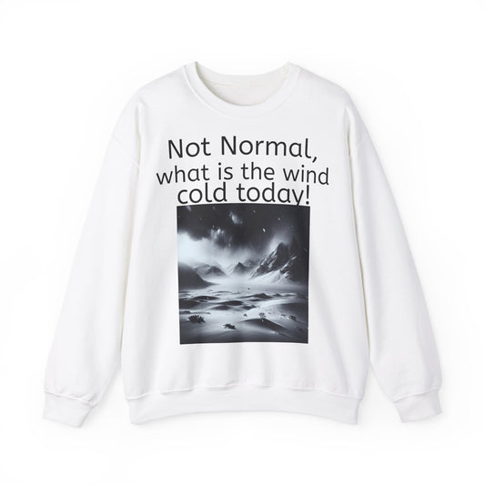 Grappige Unisex Katoenen/ Polyester Sweater Sweatshirt - Not Normal Wind Cold - Pun Funny Dutch Shirt Language Gift Idea Spreekwoord Funny