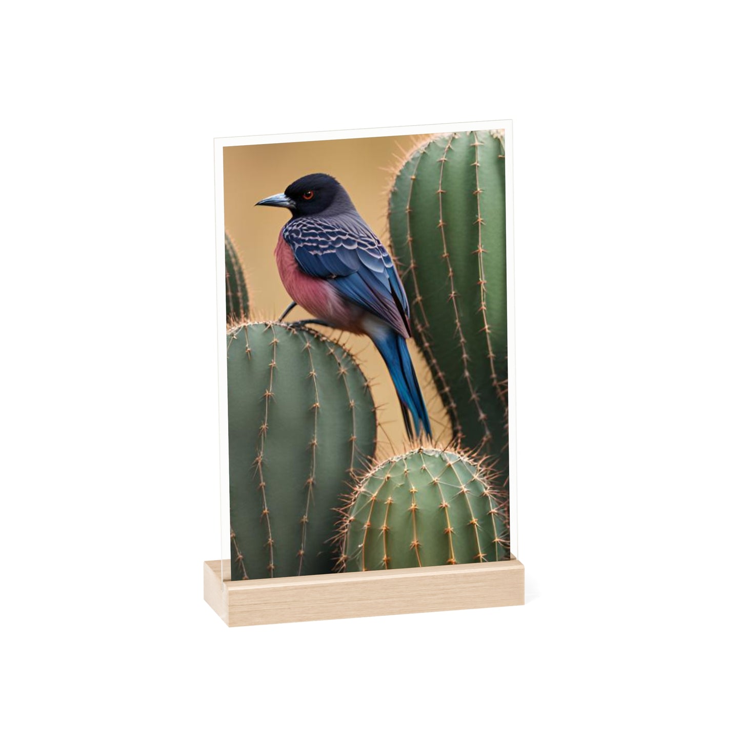 Acrylic Sign, Natural Bird Cacti Design, Home Office Decor Trend, Beautiful Country Style, Gift, Desk, Bureau Cadeu Idee Vogel Cactus